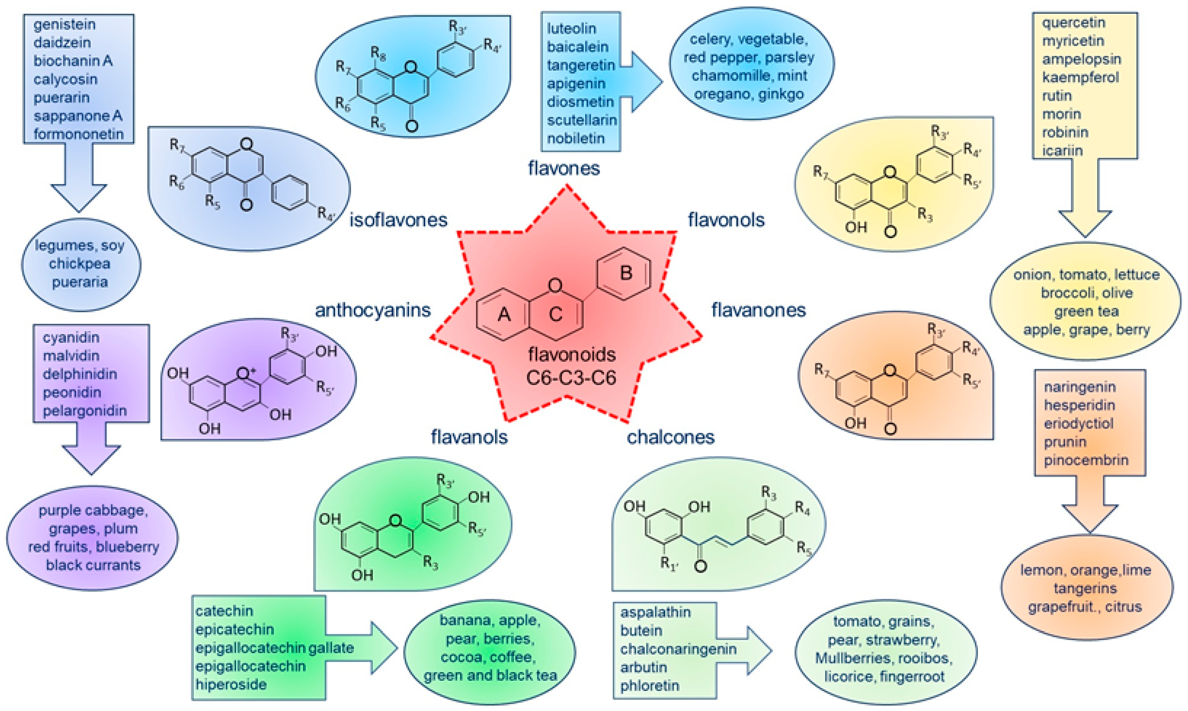 Nutrients 16 02207 g002