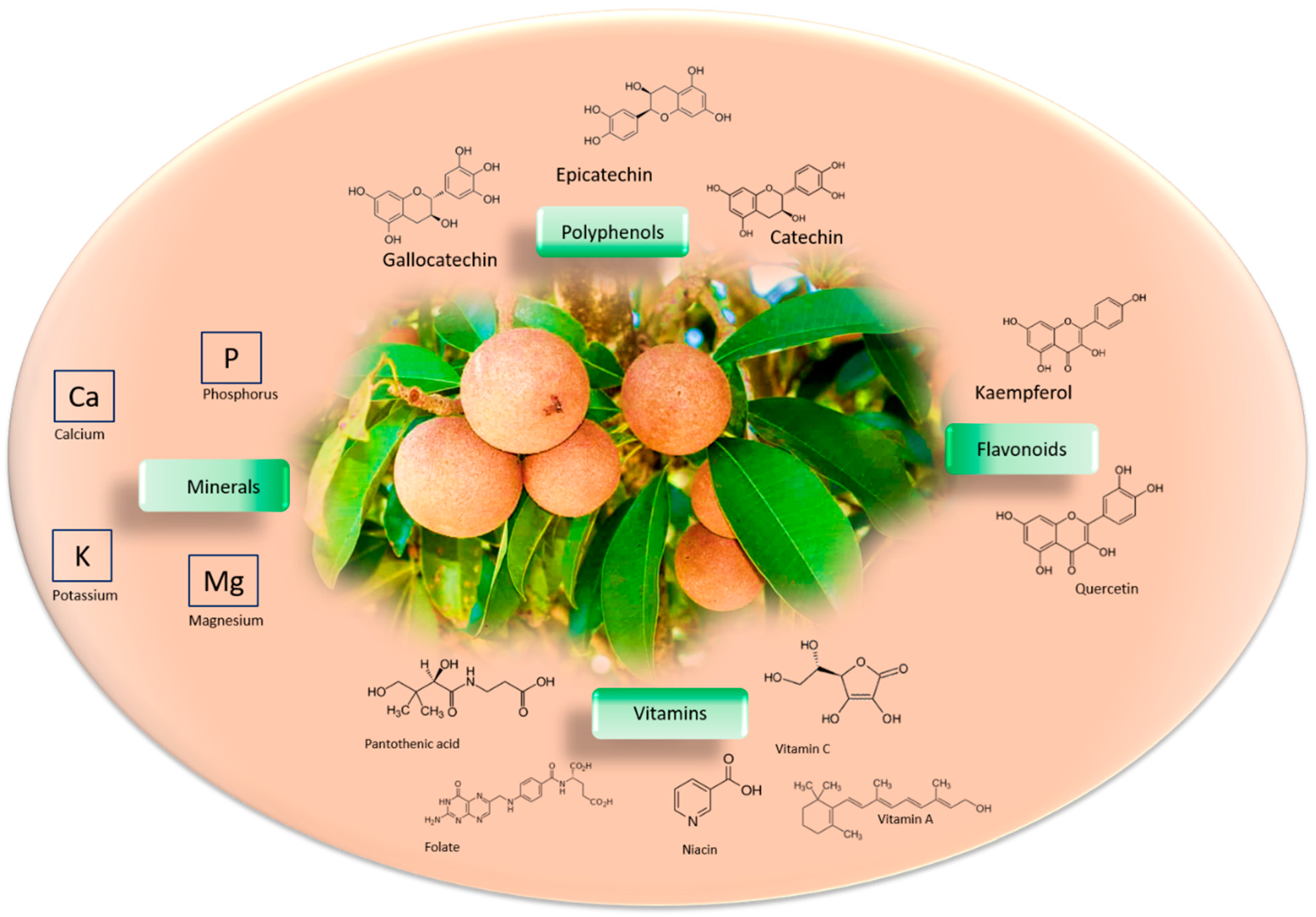 Nutrients 16 02225 g001