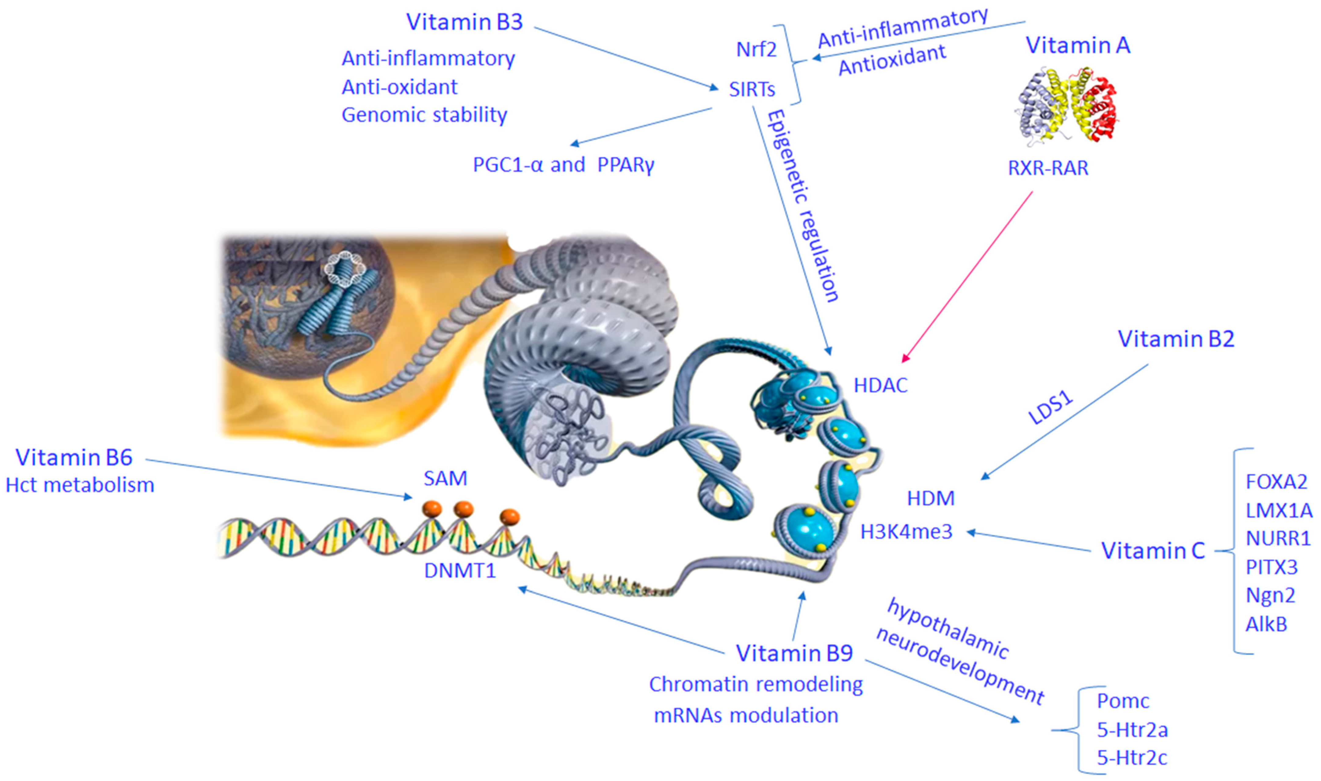 Nutrients 16 02225 g003