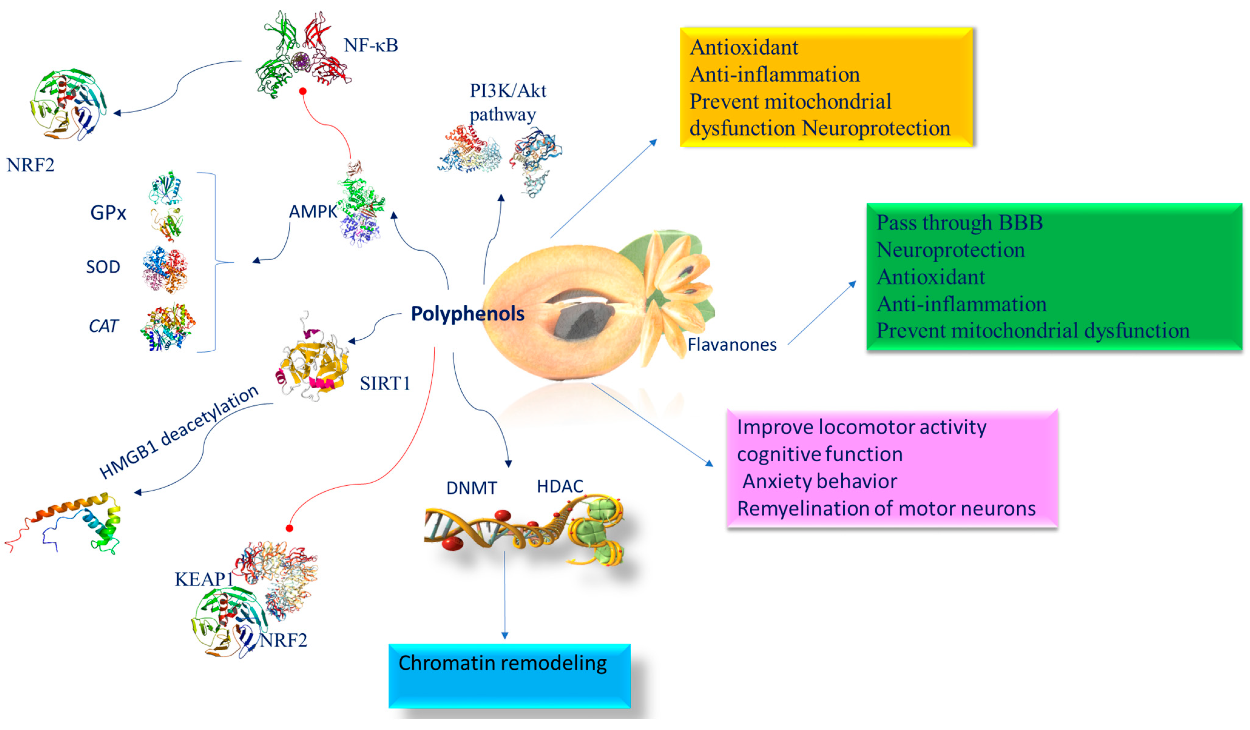 Nutrients 16 02225 g004