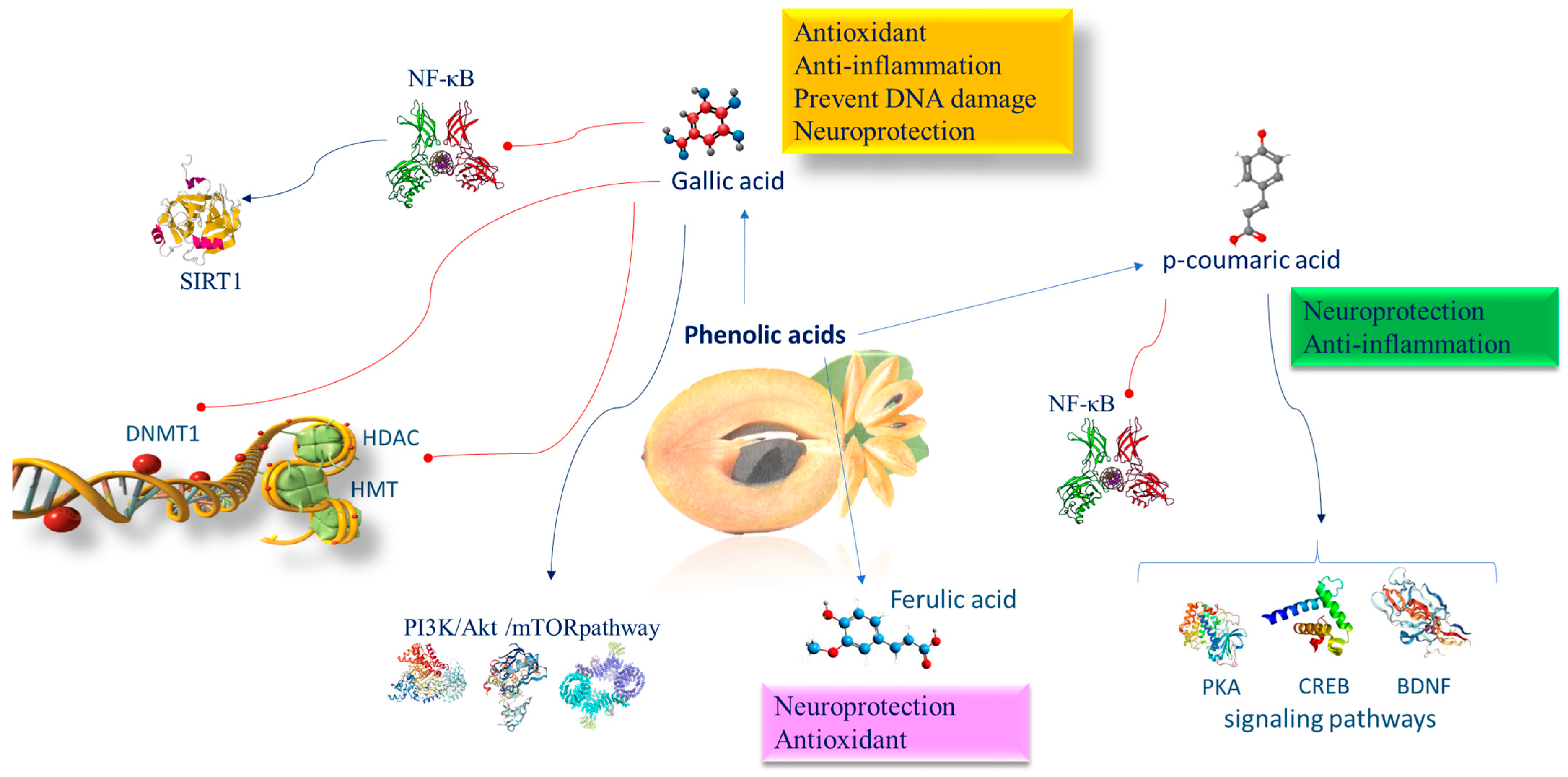 Nutrients 16 02225 g005