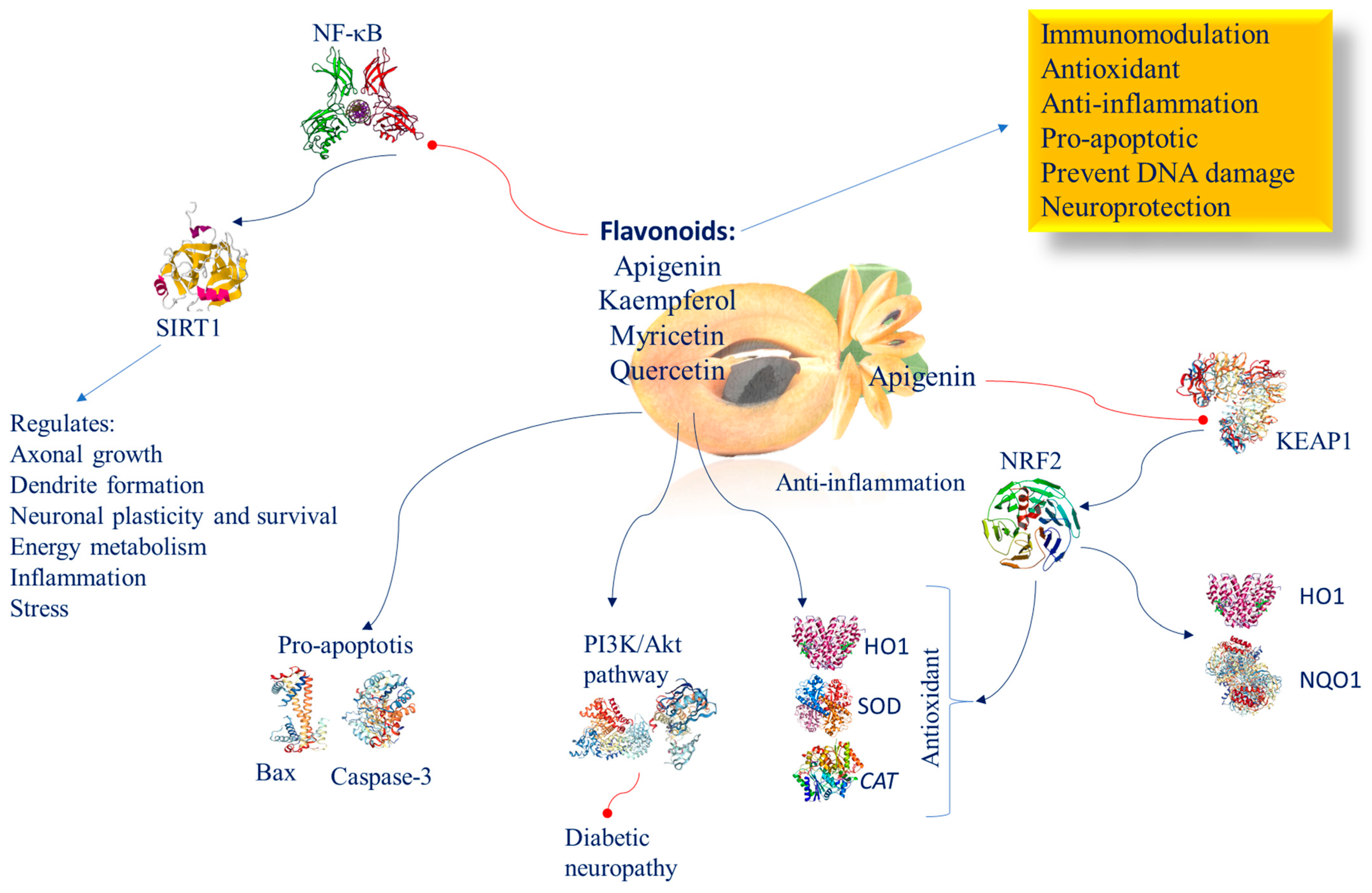 Nutrients 16 02225 g006