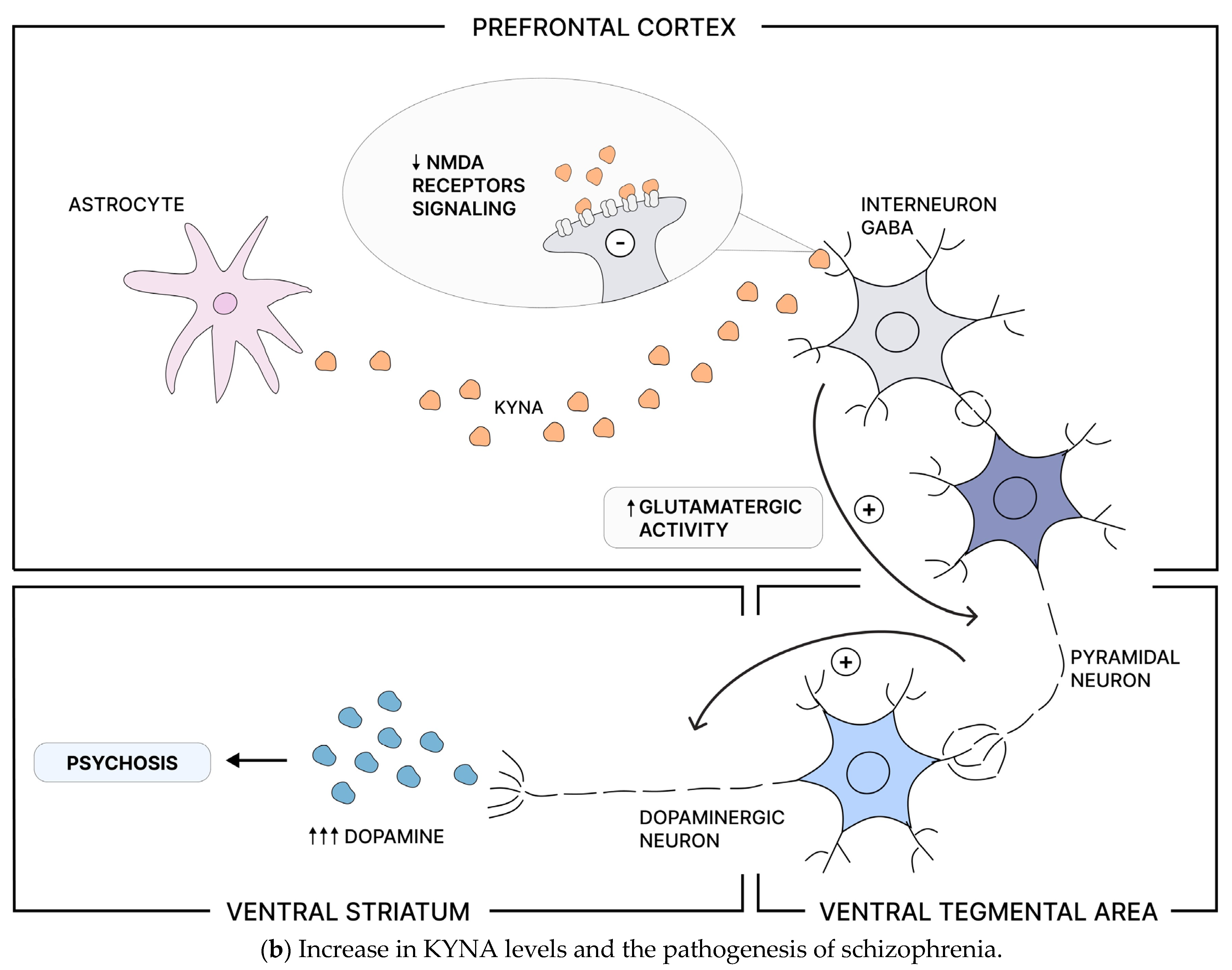 Nutrients 16 02228 sch002b Nutrients 16 02228 sch002b