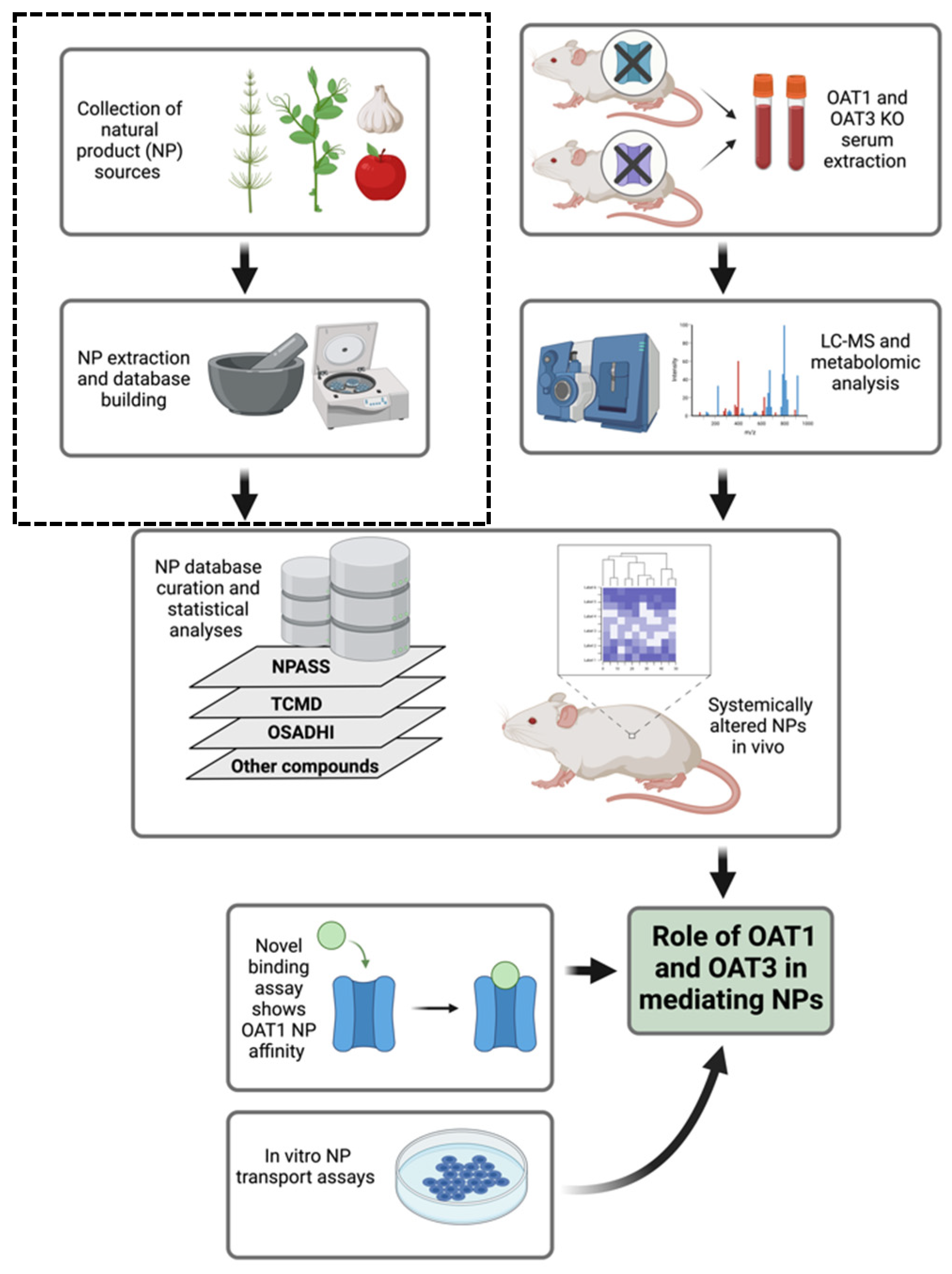 Nutrients 16 02242 g001