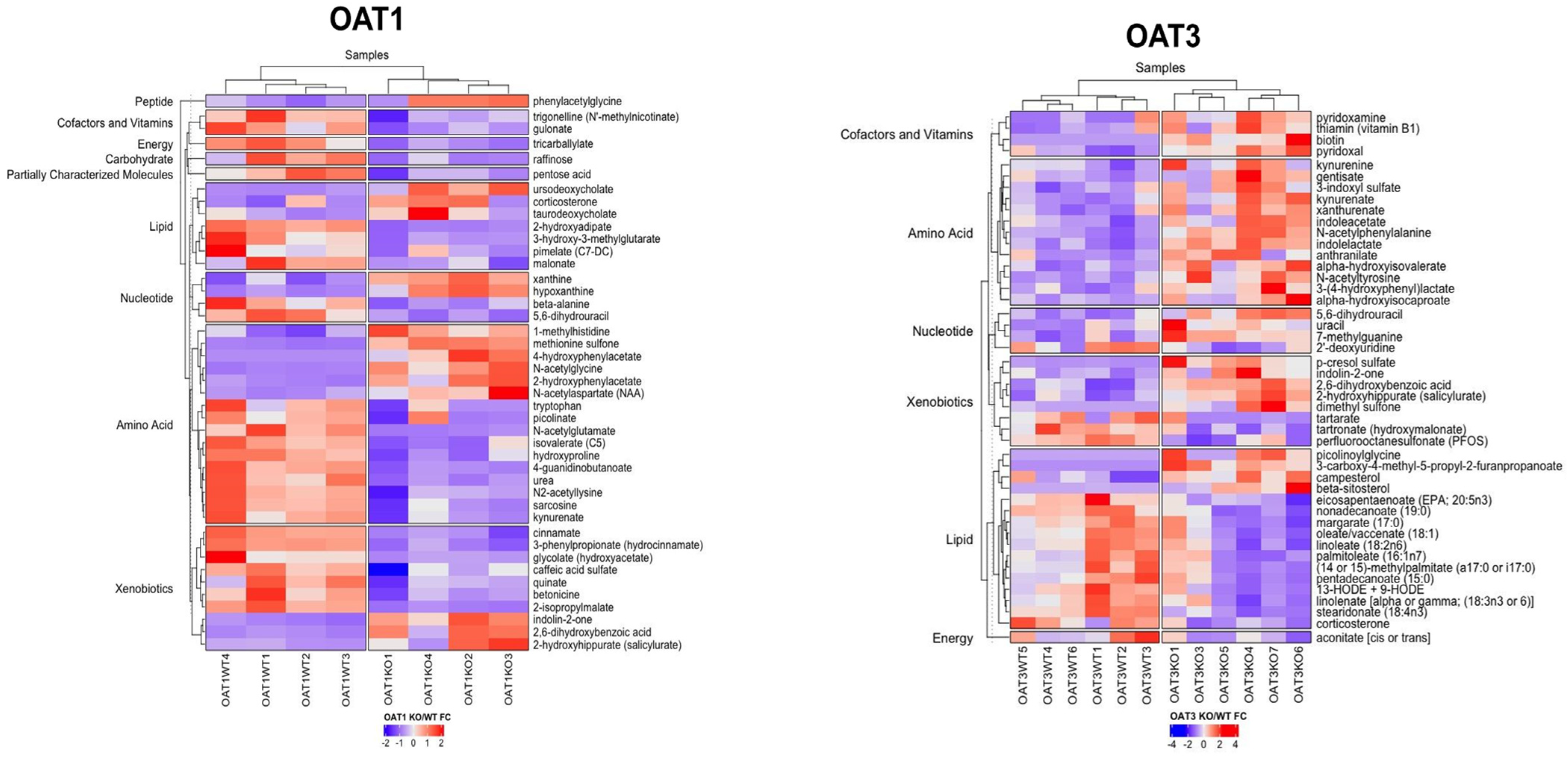 Nutrients 16 02242 g004