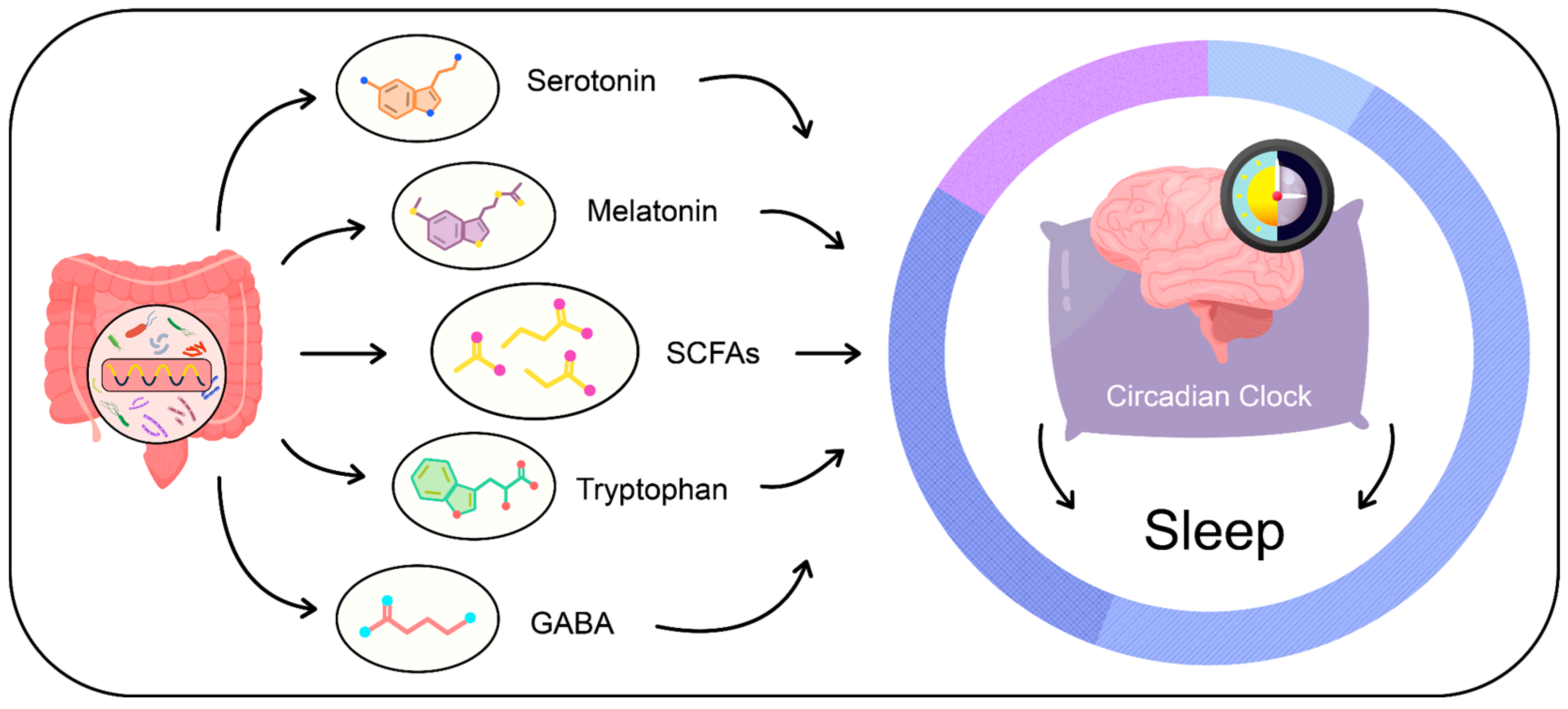 Nutrients 16 02259 g002