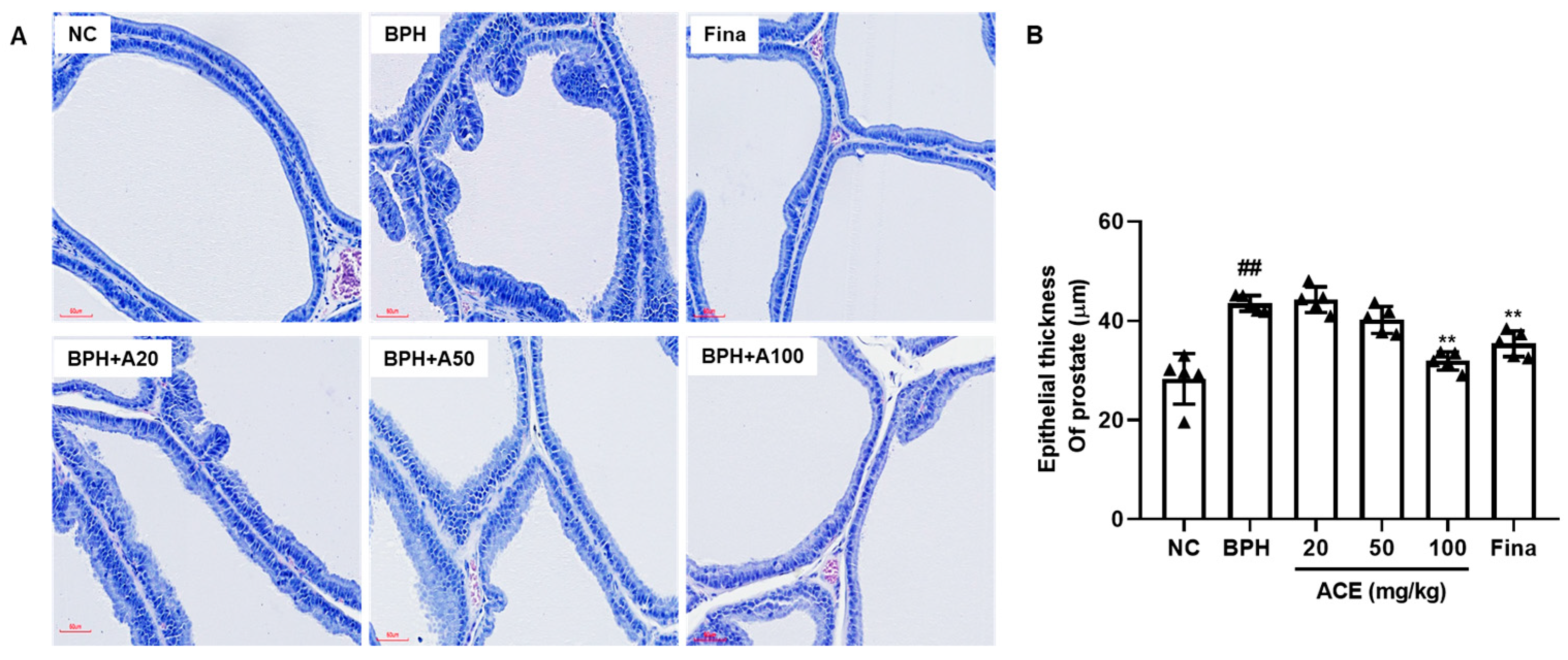 Nutrients 16 02267 g002 Nutrients 16 02267 g002