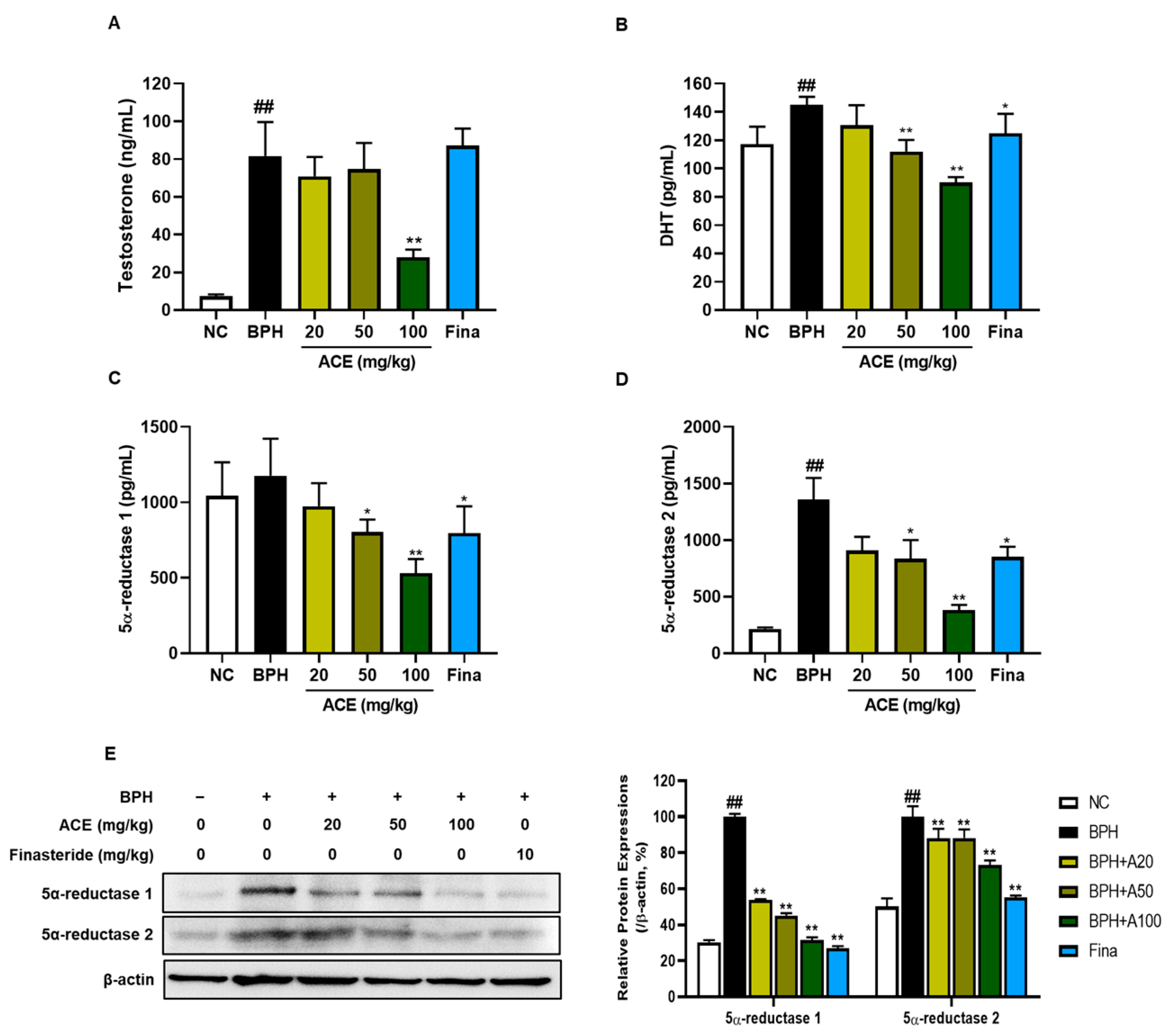 Nutrients 16 02267 g003 Nutrients 16 02267 g003