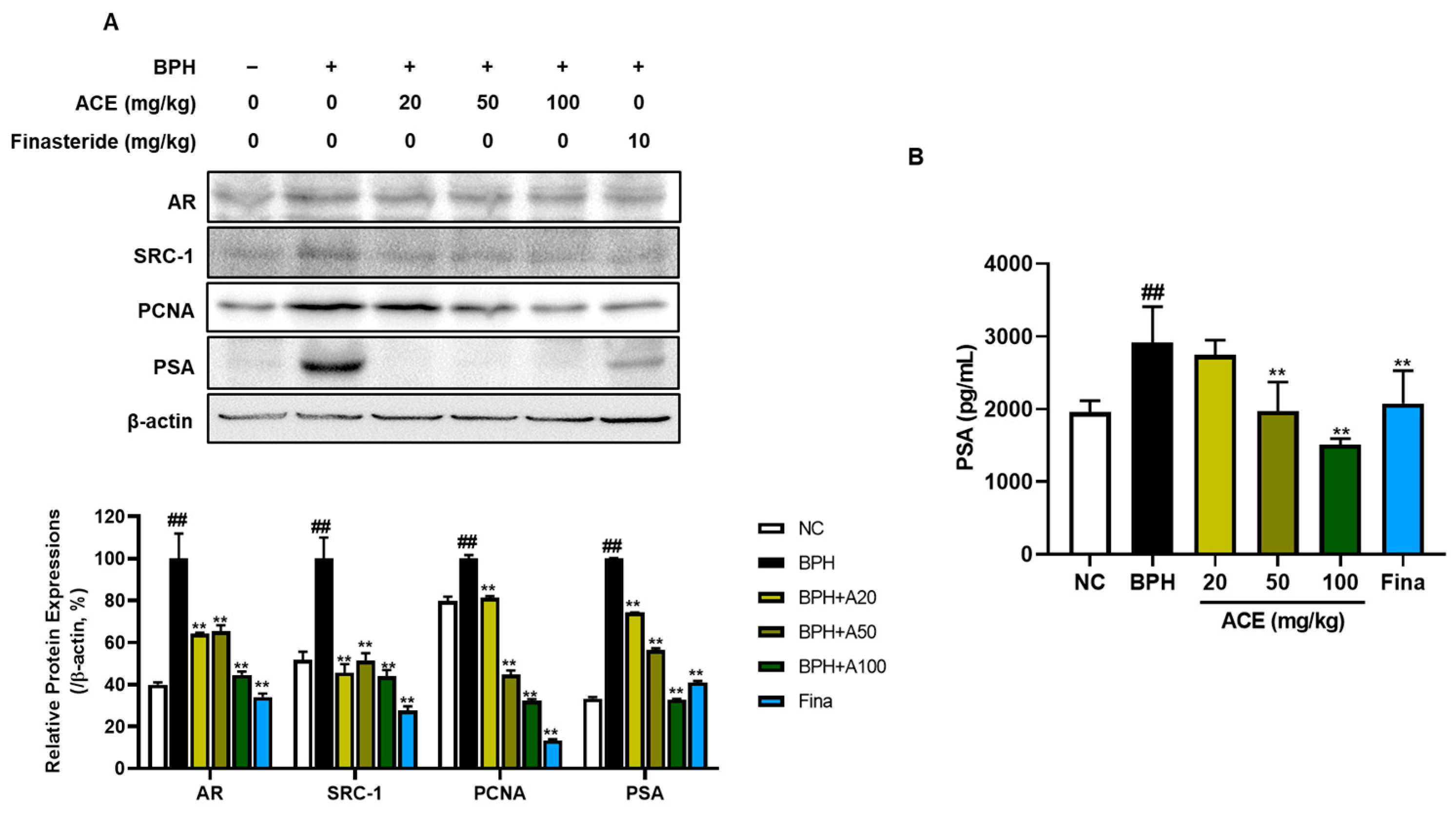 Nutrients 16 02267 g004 Nutrients 16 02267 g004