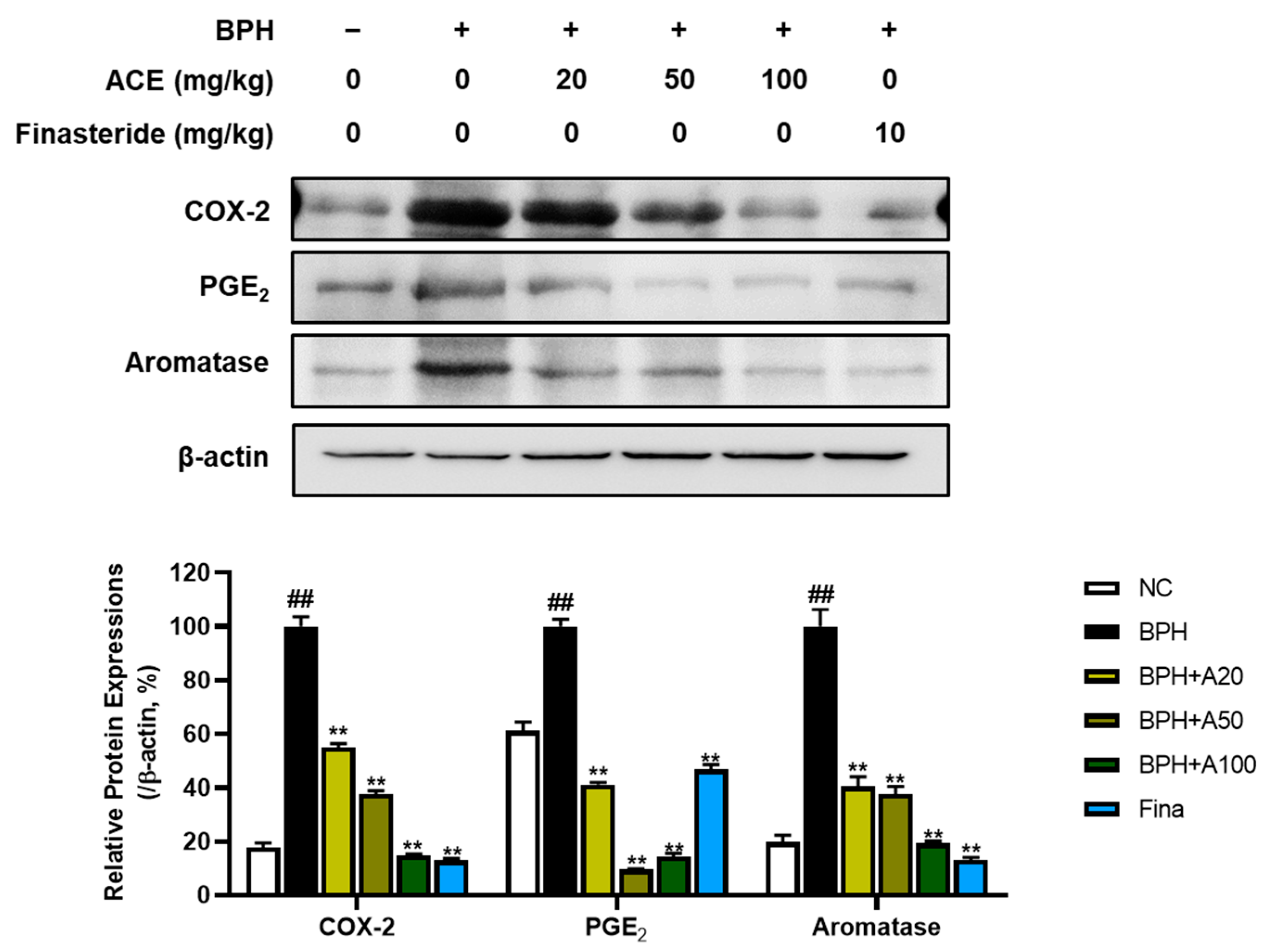 Nutrients 16 02267 g005 Nutrients 16 02267 g005