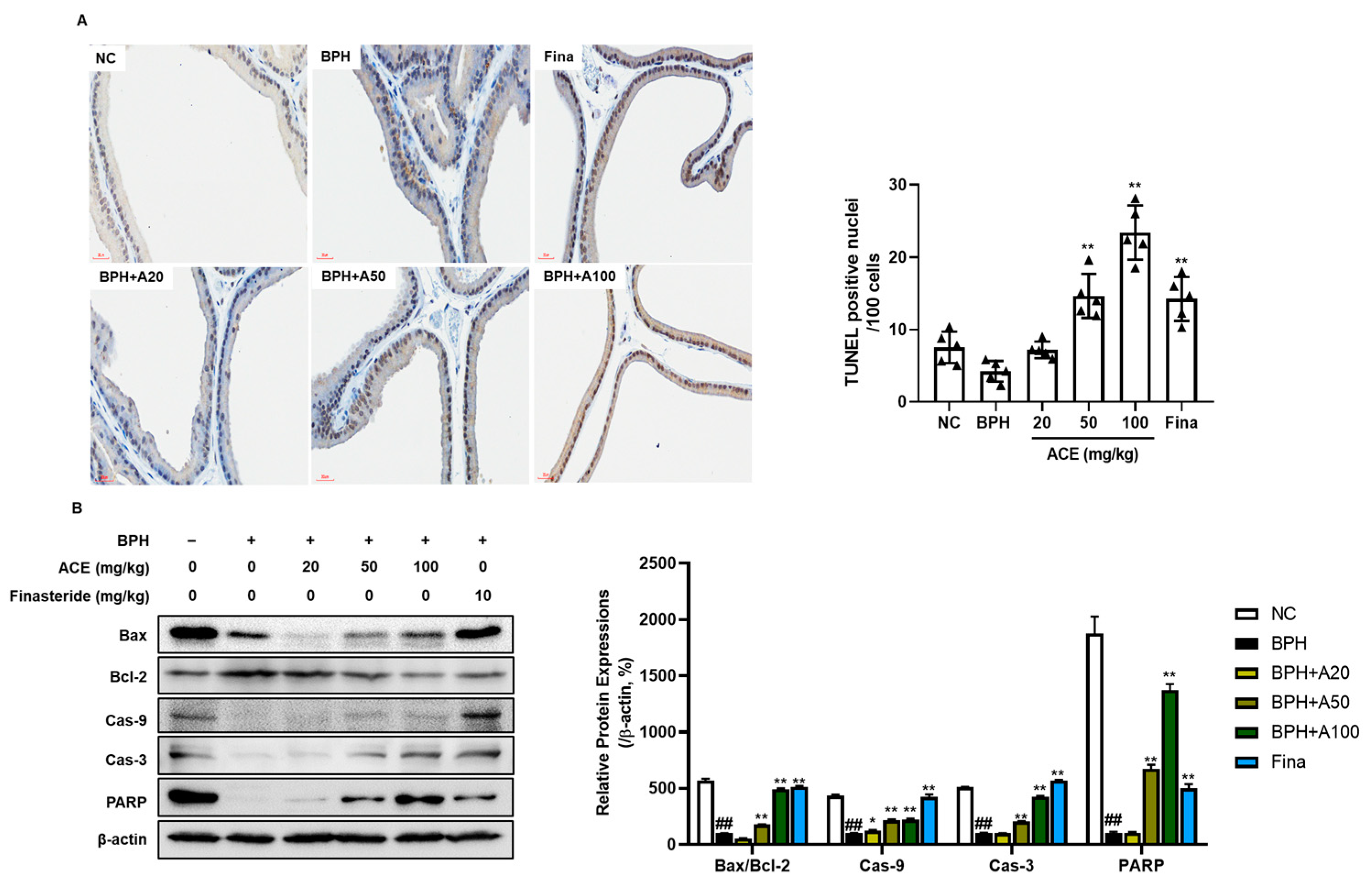 Nutrients 16 02267 g006 Nutrients 16 02267 g006