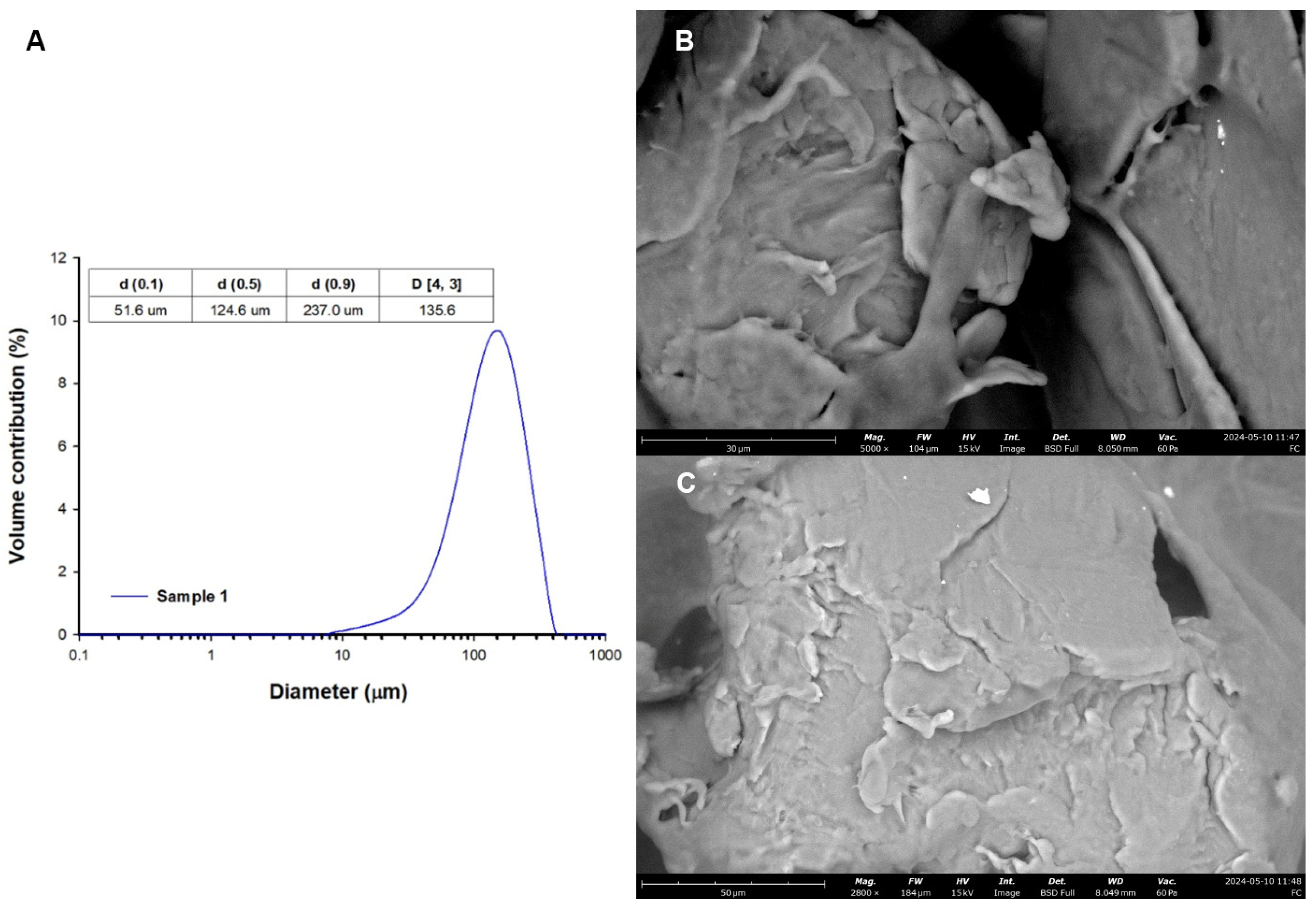 Nutrients 16 02268 g002 Nutrients 16 02268 g002