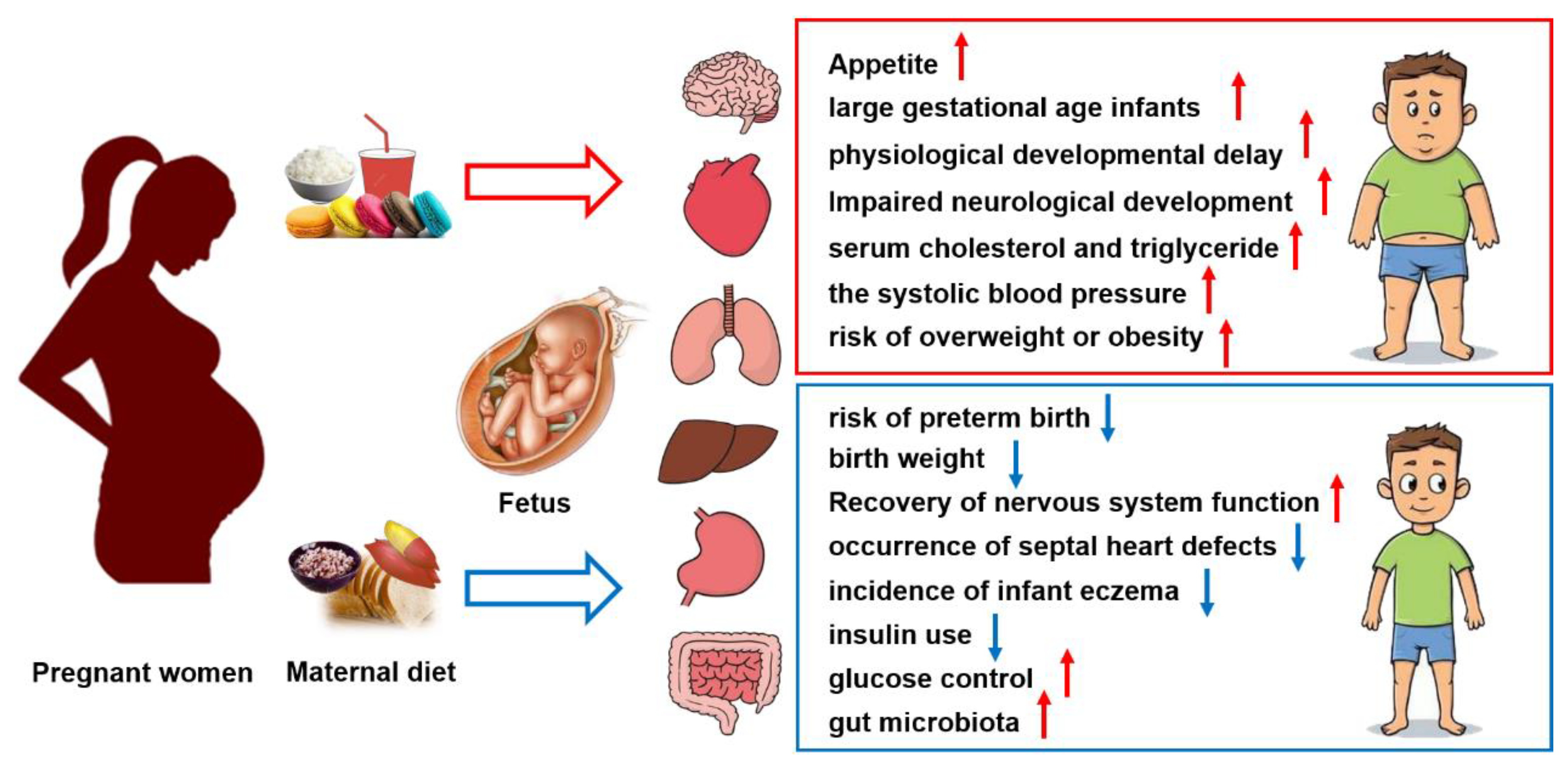 Maternal Dietary Carbohydrate and Pregnancy Outcomes: Quality over 