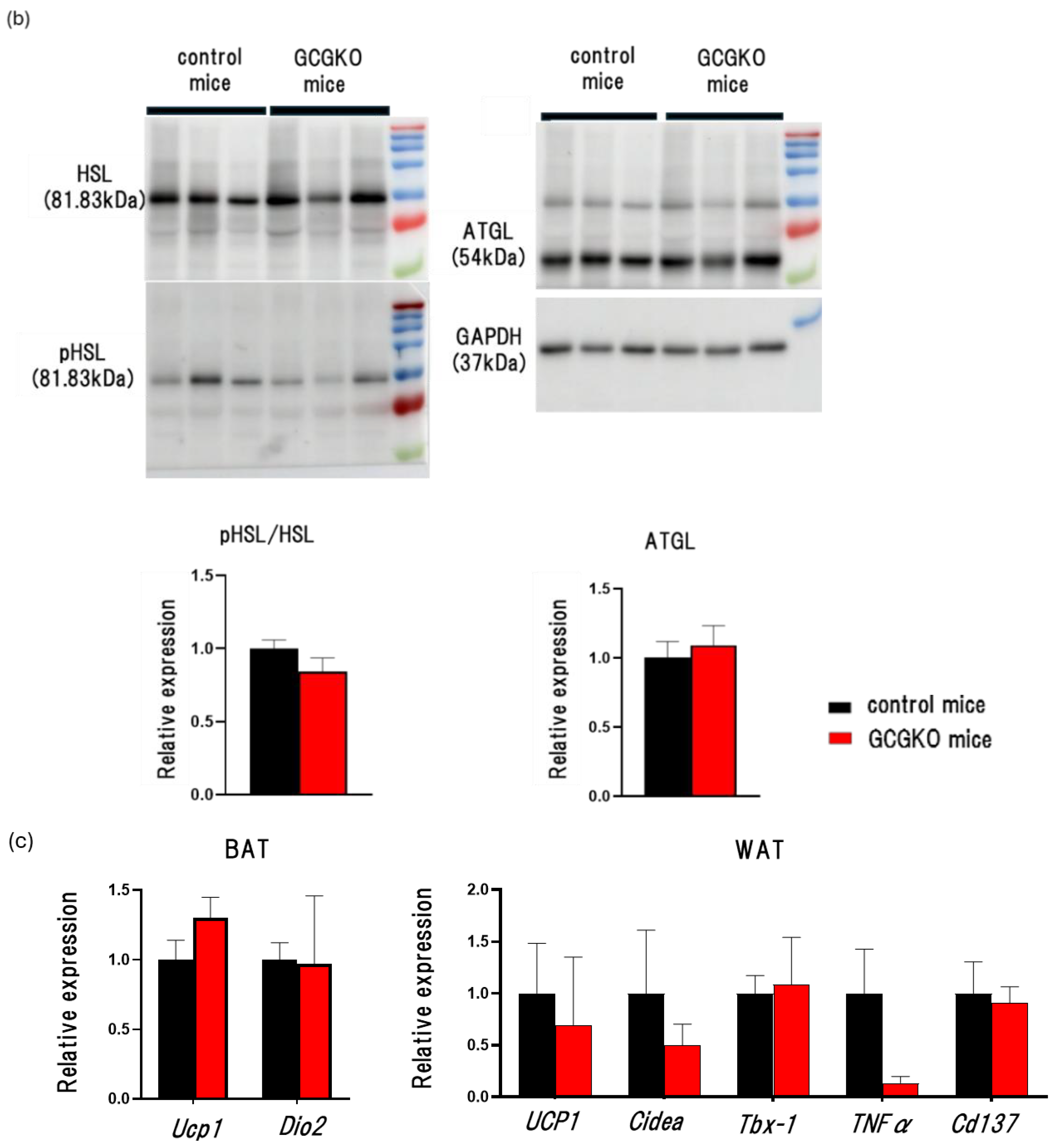 Nutrients 16 02270 g004b
