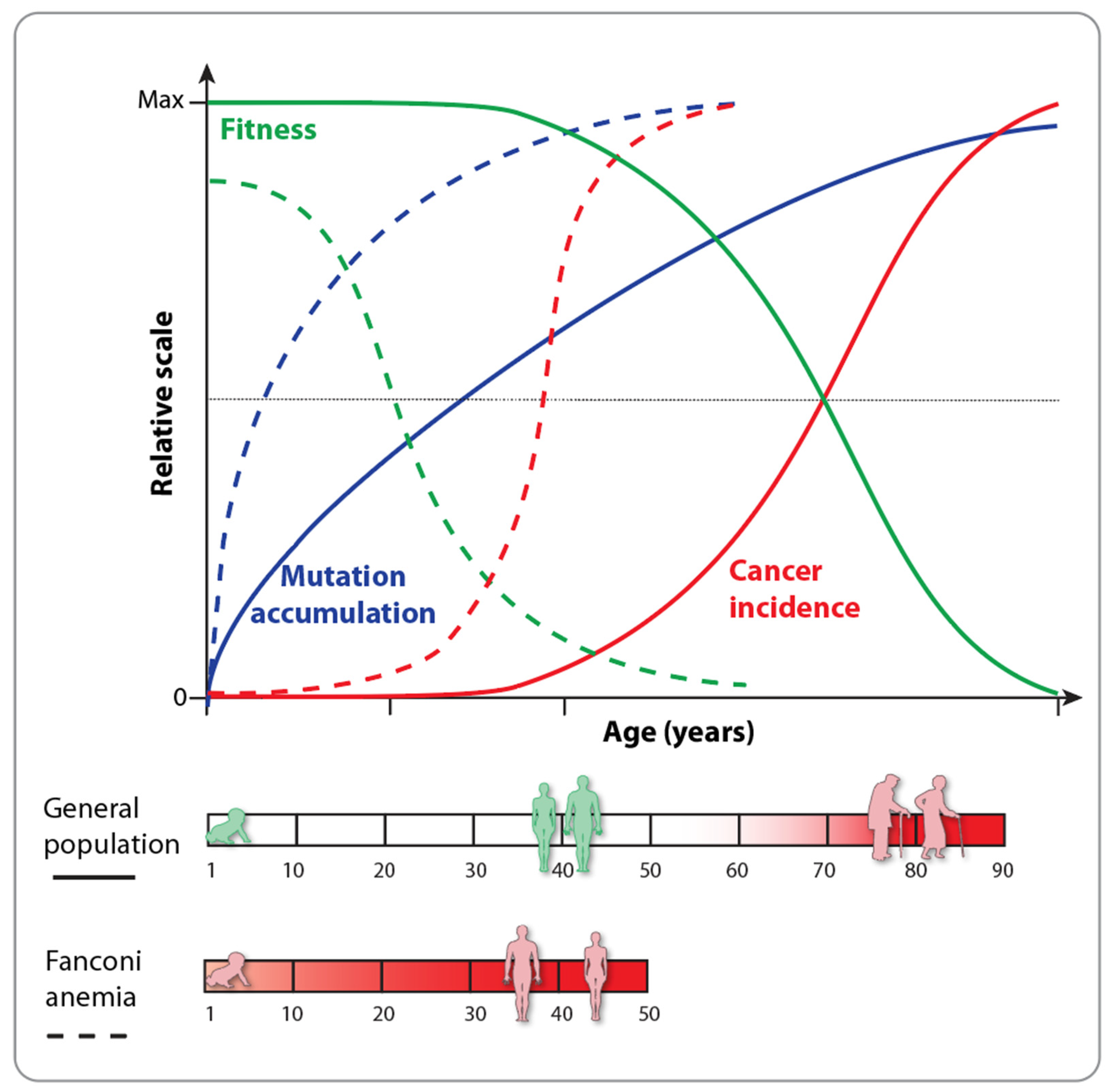 Nutrients 16 02271 g001