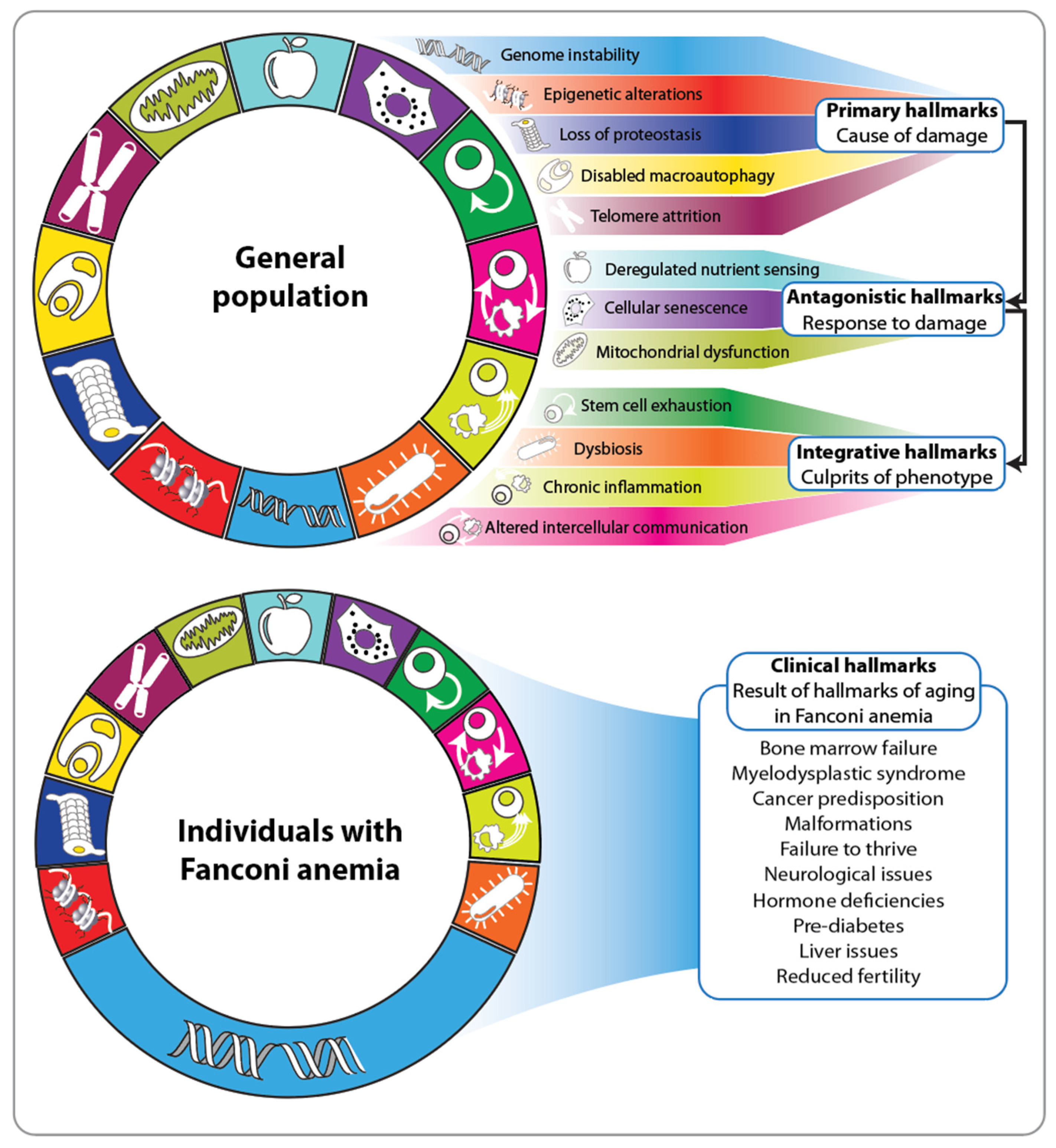 Nutrients 16 02271 g002