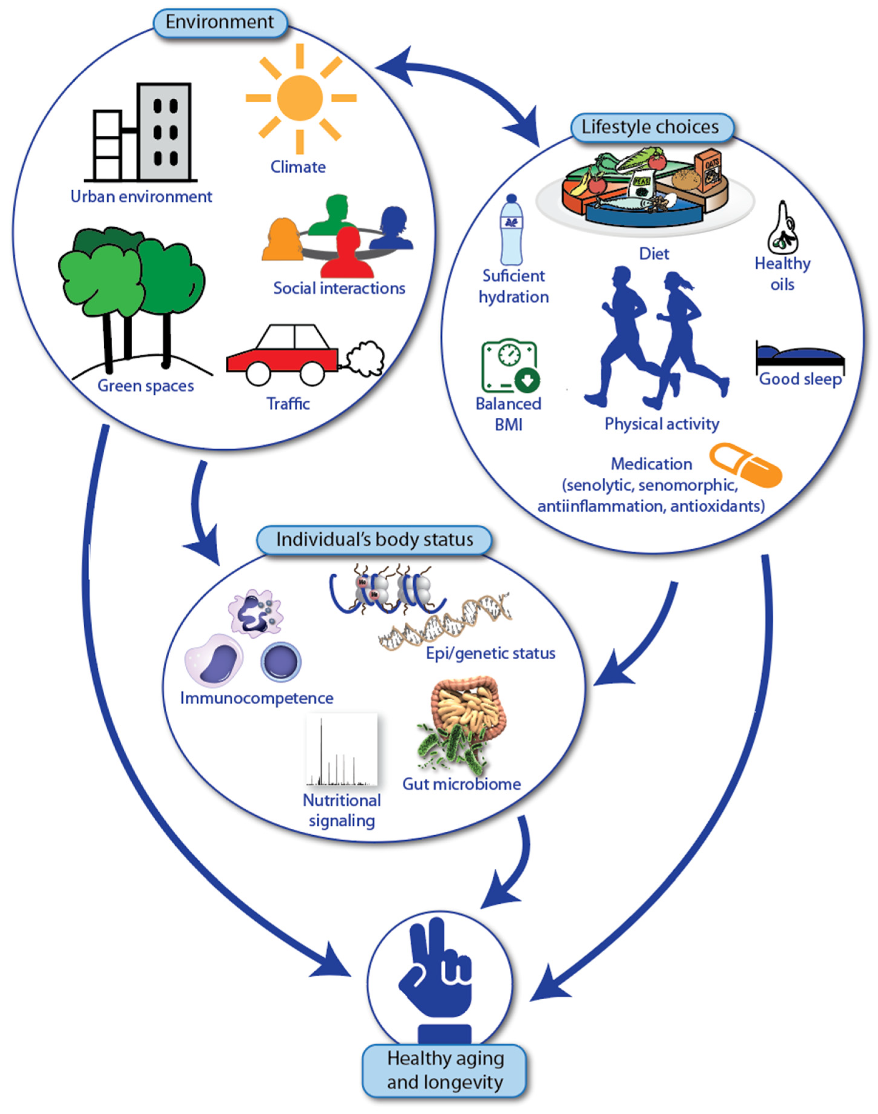Nutrients 16 02271 g005