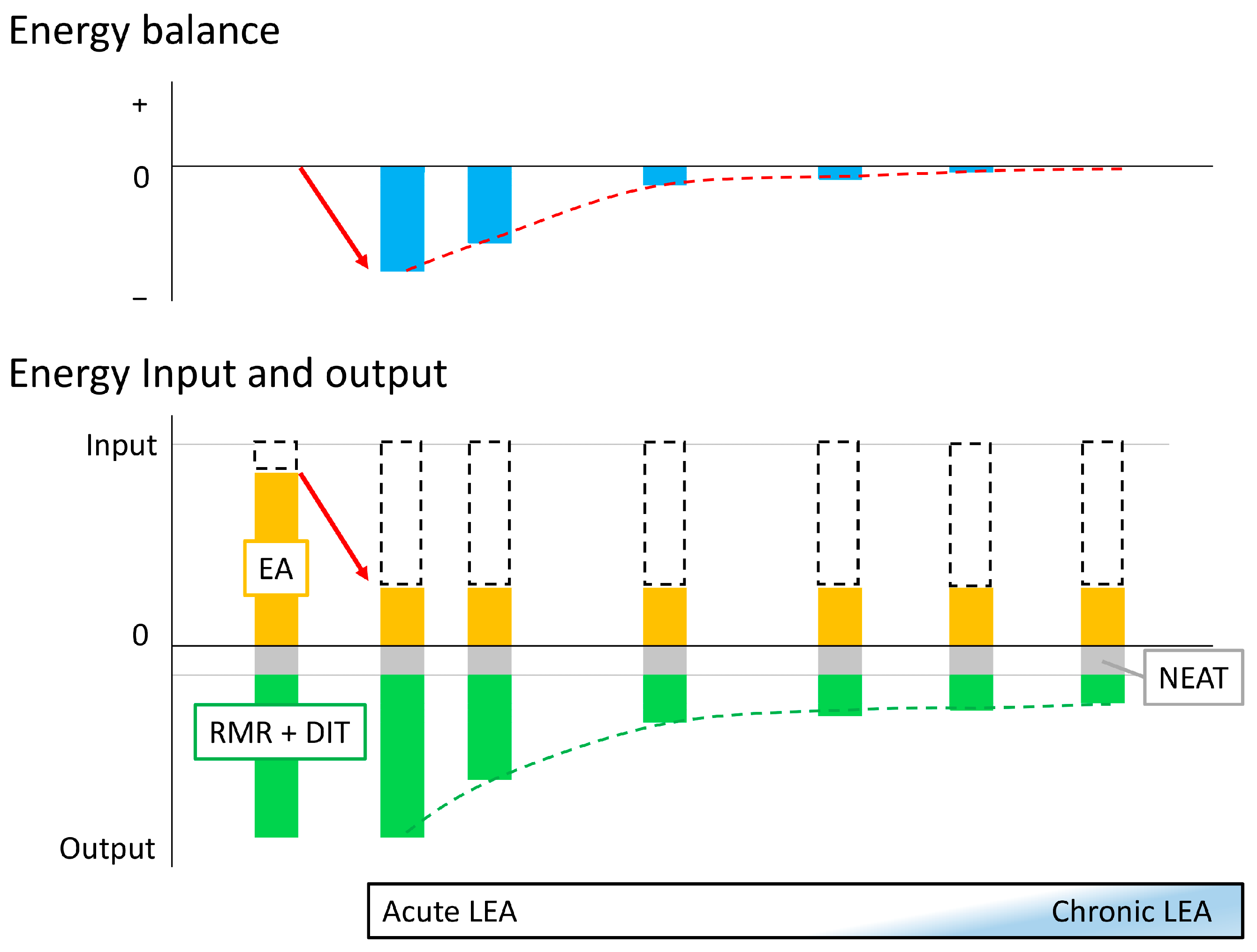 Nutrients 16 02273 g001 Nutrients 16 02273 g001