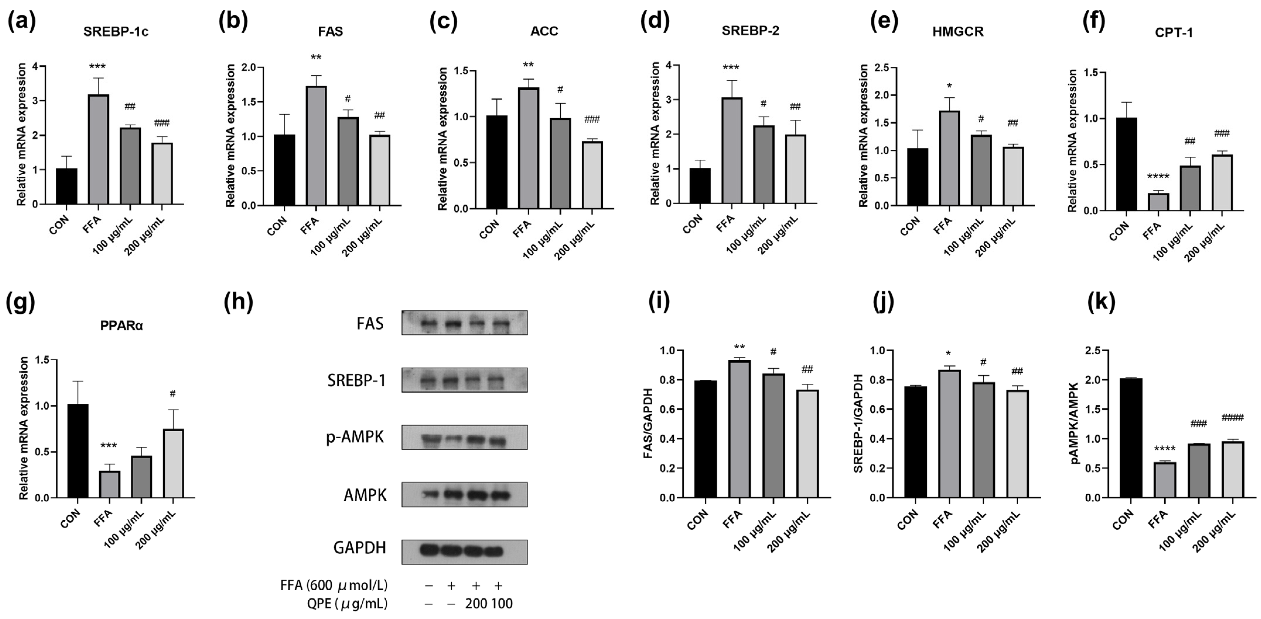 Nutrients 16 02276 g003