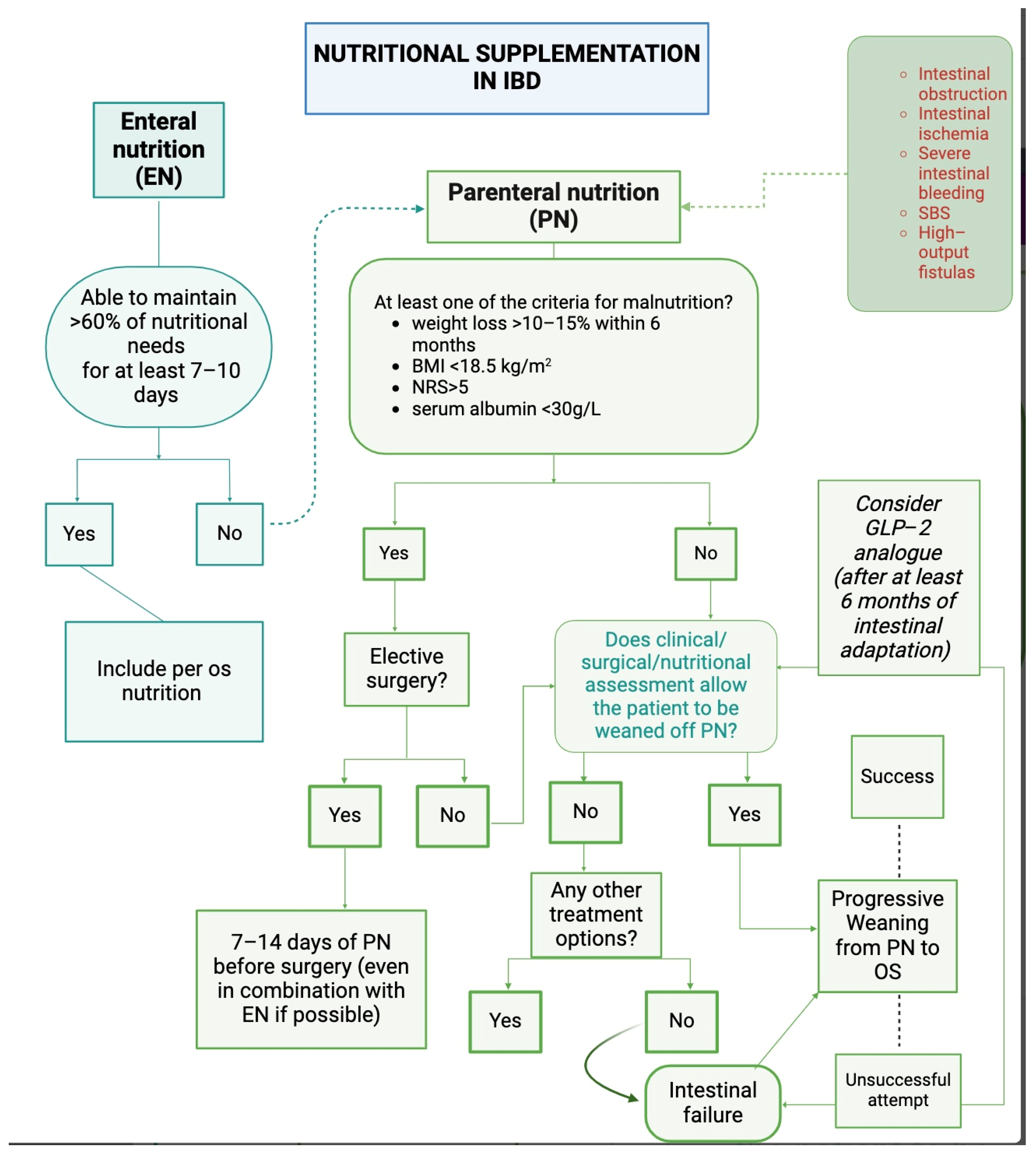 Nutrients 16 02288 g001