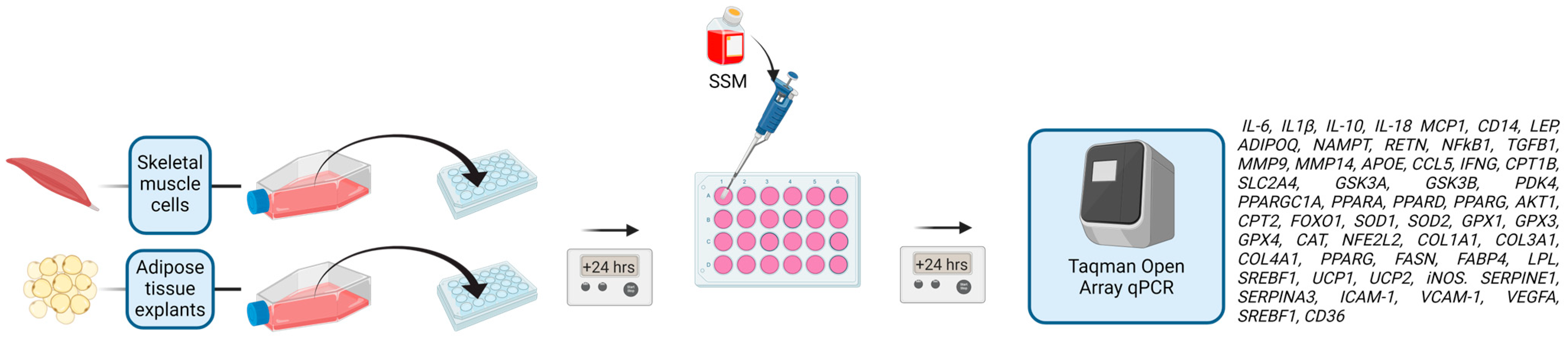 Nutrients 16 02291 g002