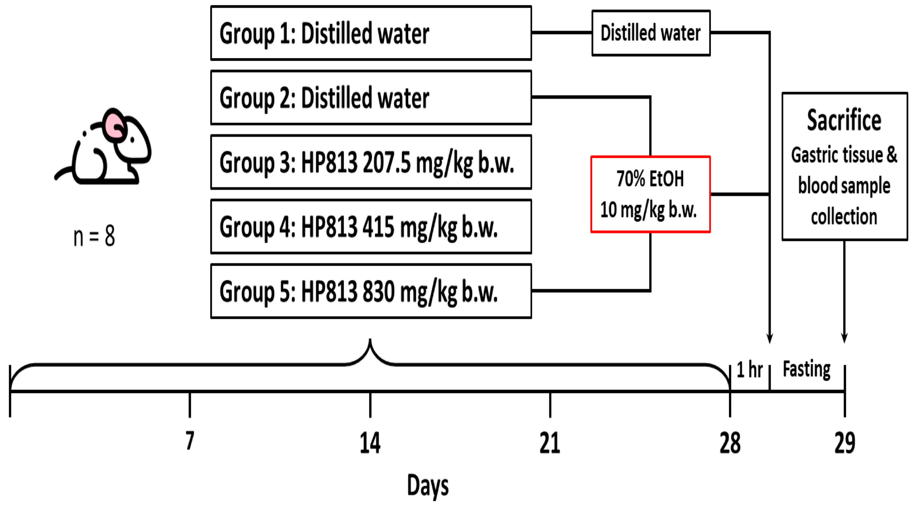 Nutrients 16 02297 g001