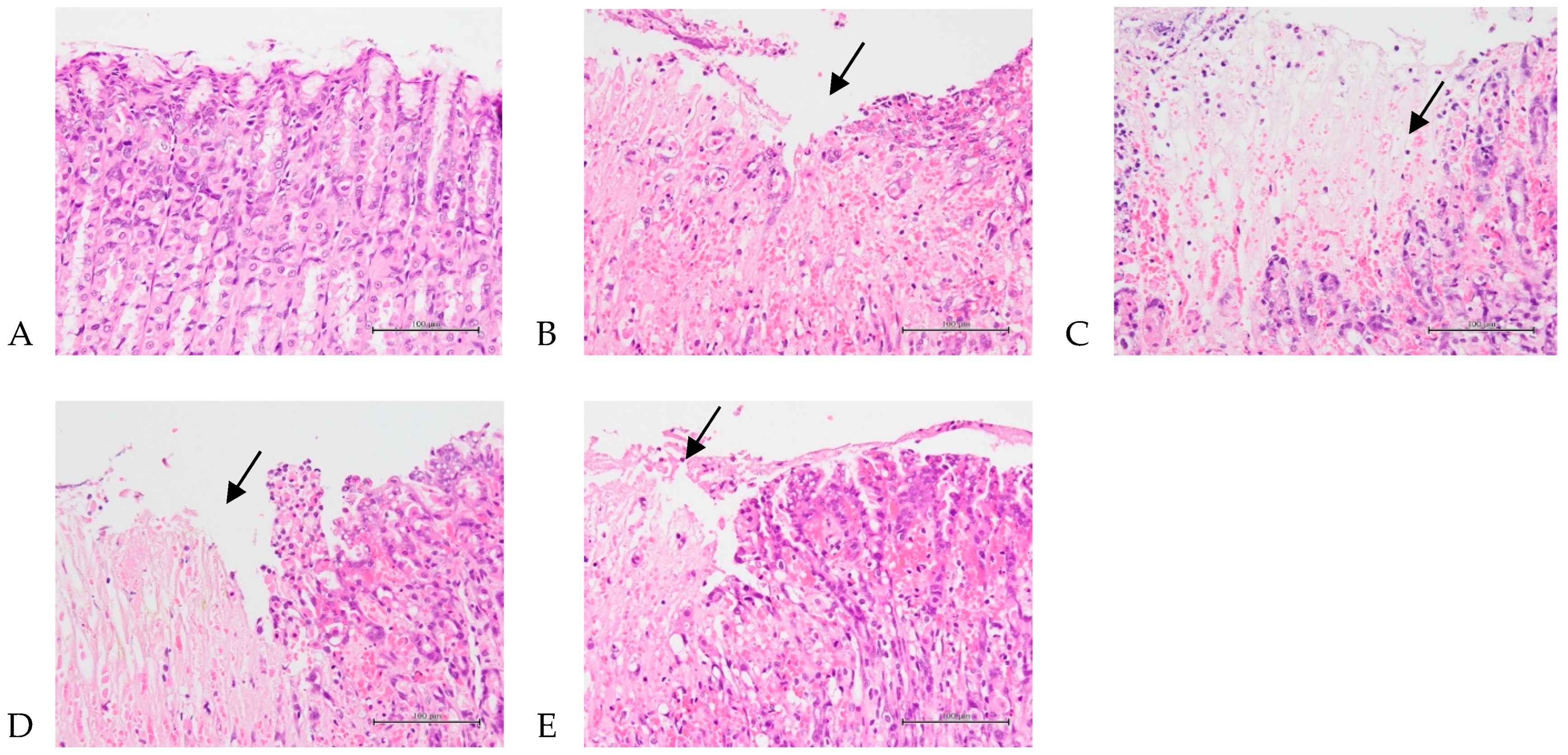 Nutrients 16 02297 g003