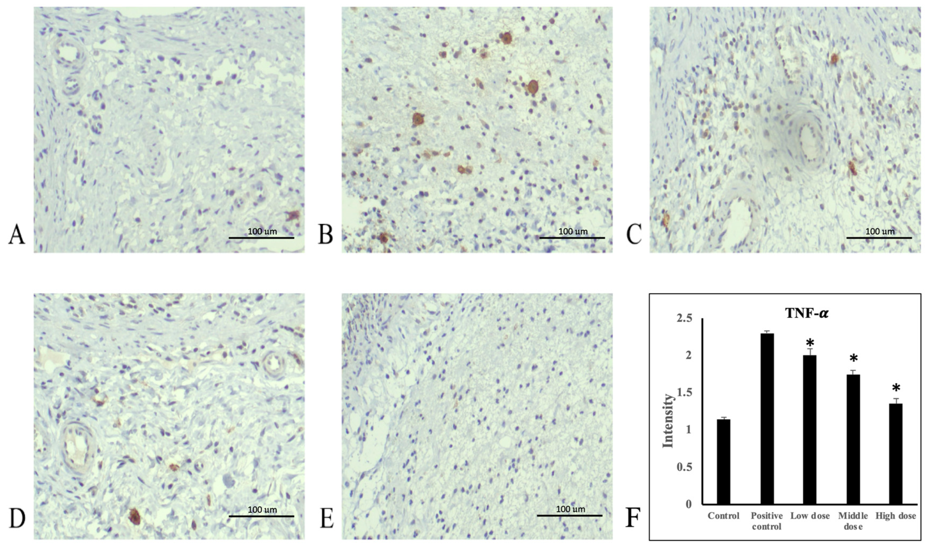 Nutrients 16 02297 g004