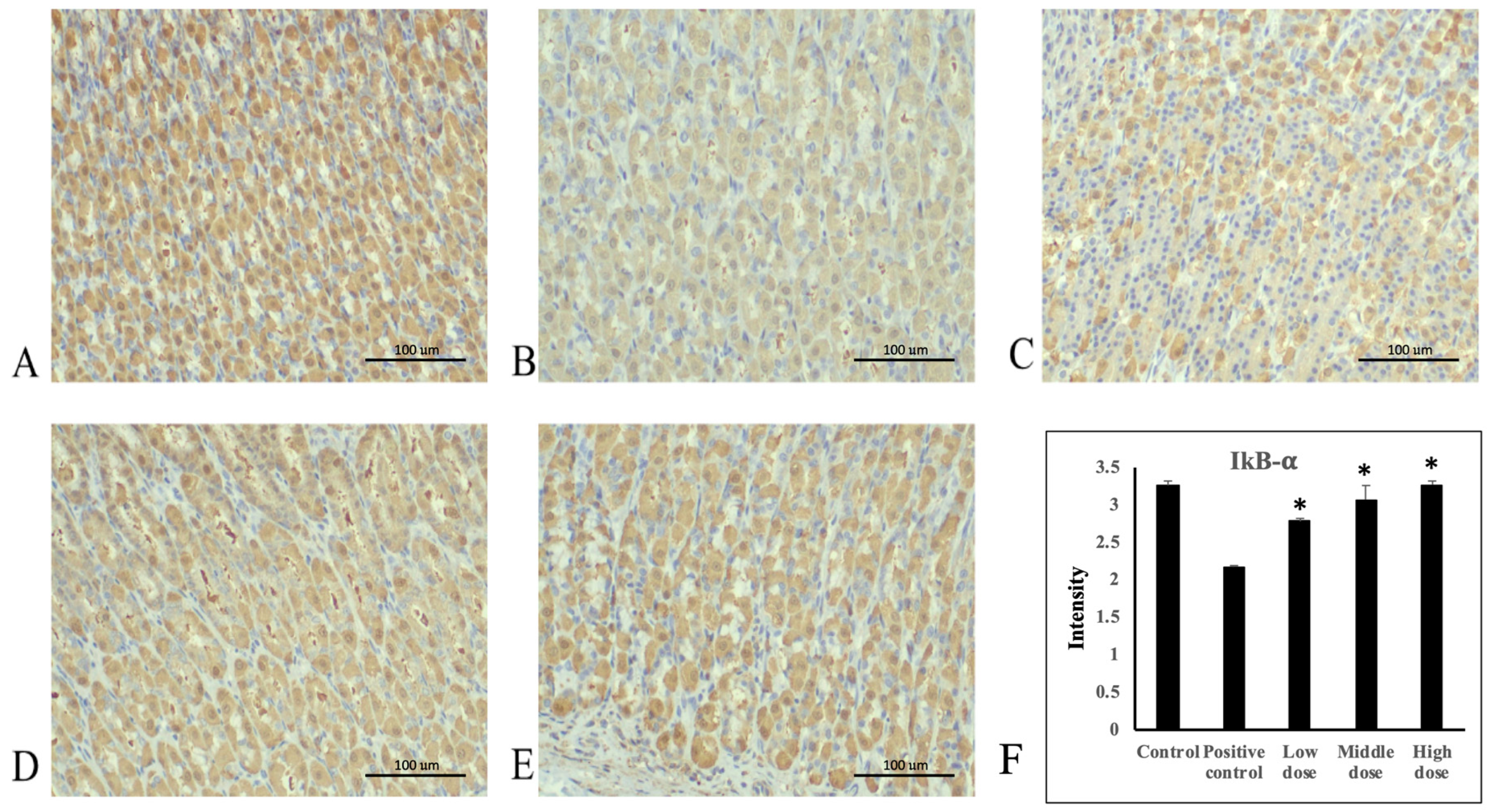 Nutrients 16 02297 g006