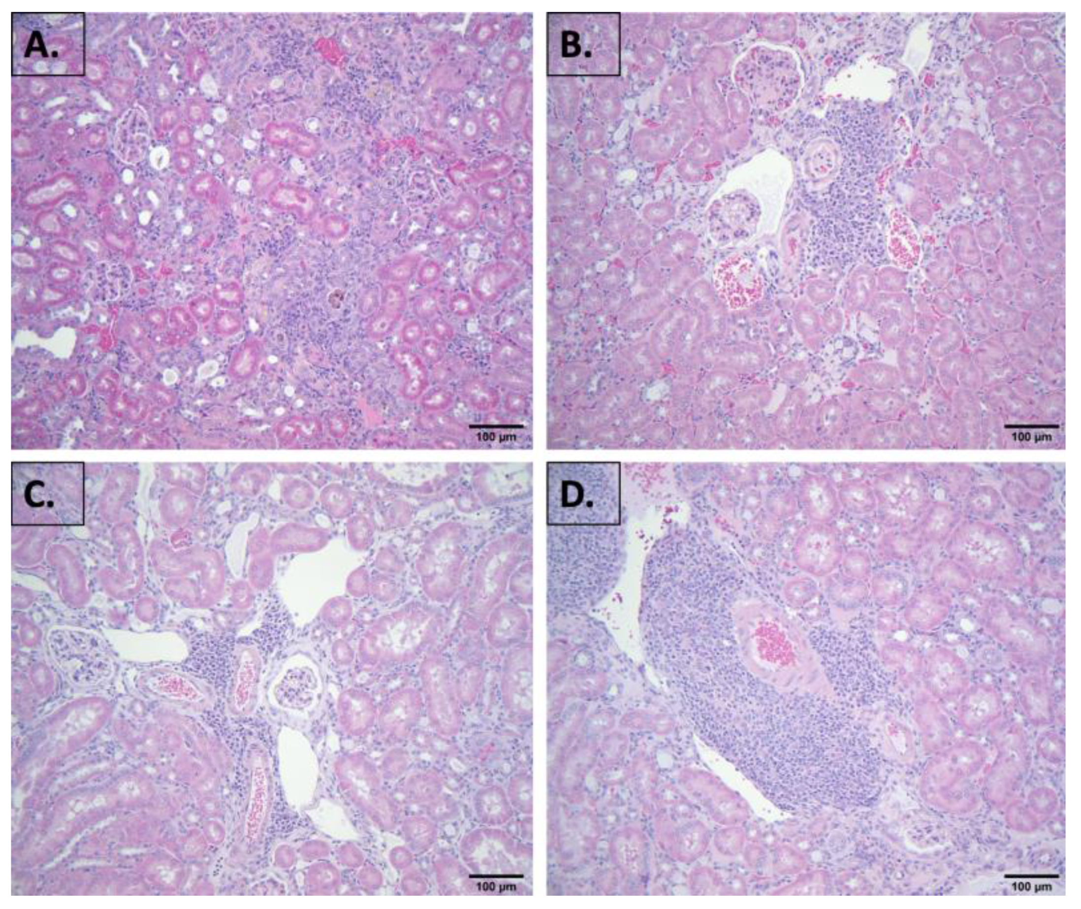 Nutrients 16 02309 g002