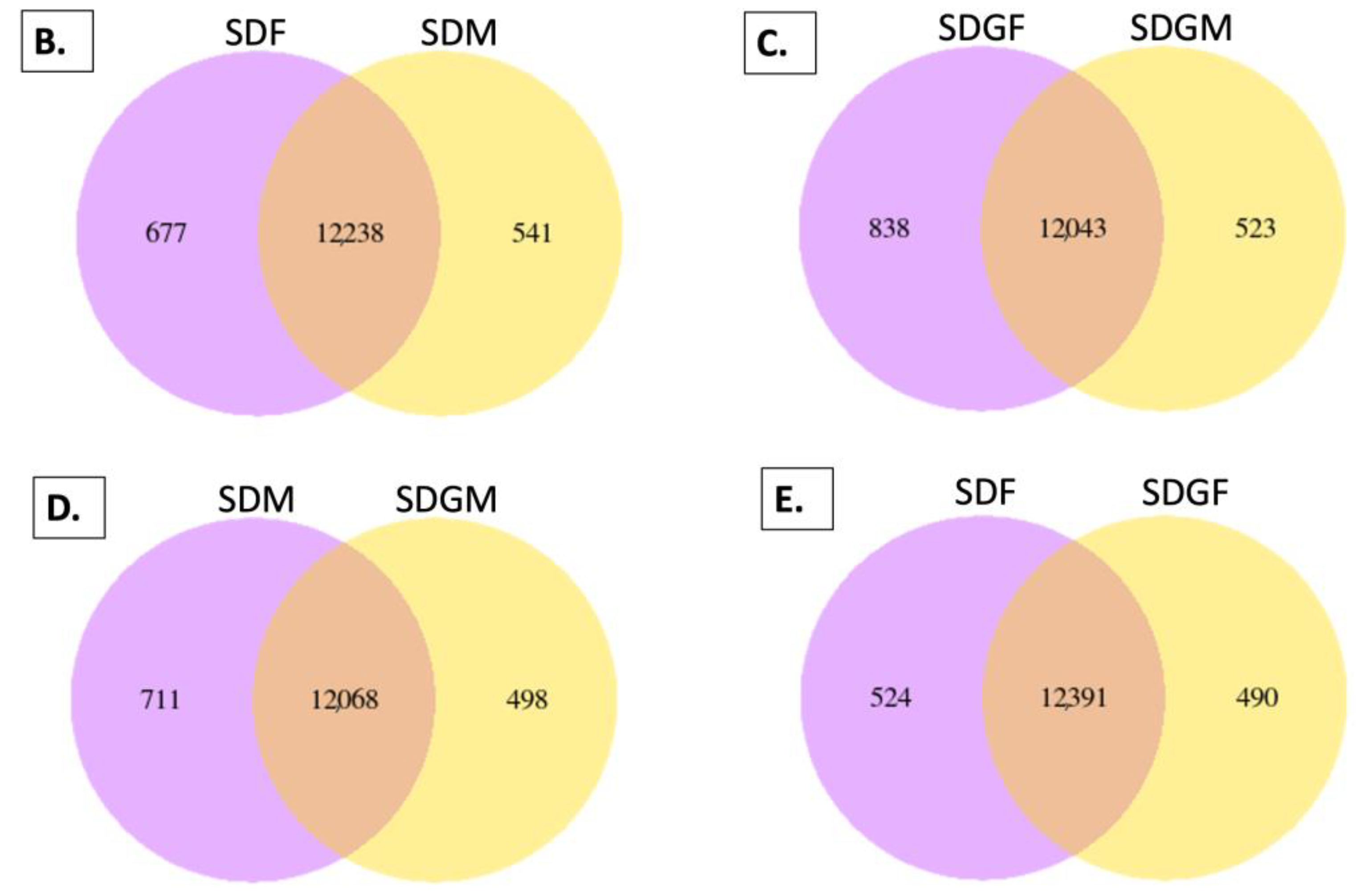 Nutrients 16 02309 g004b