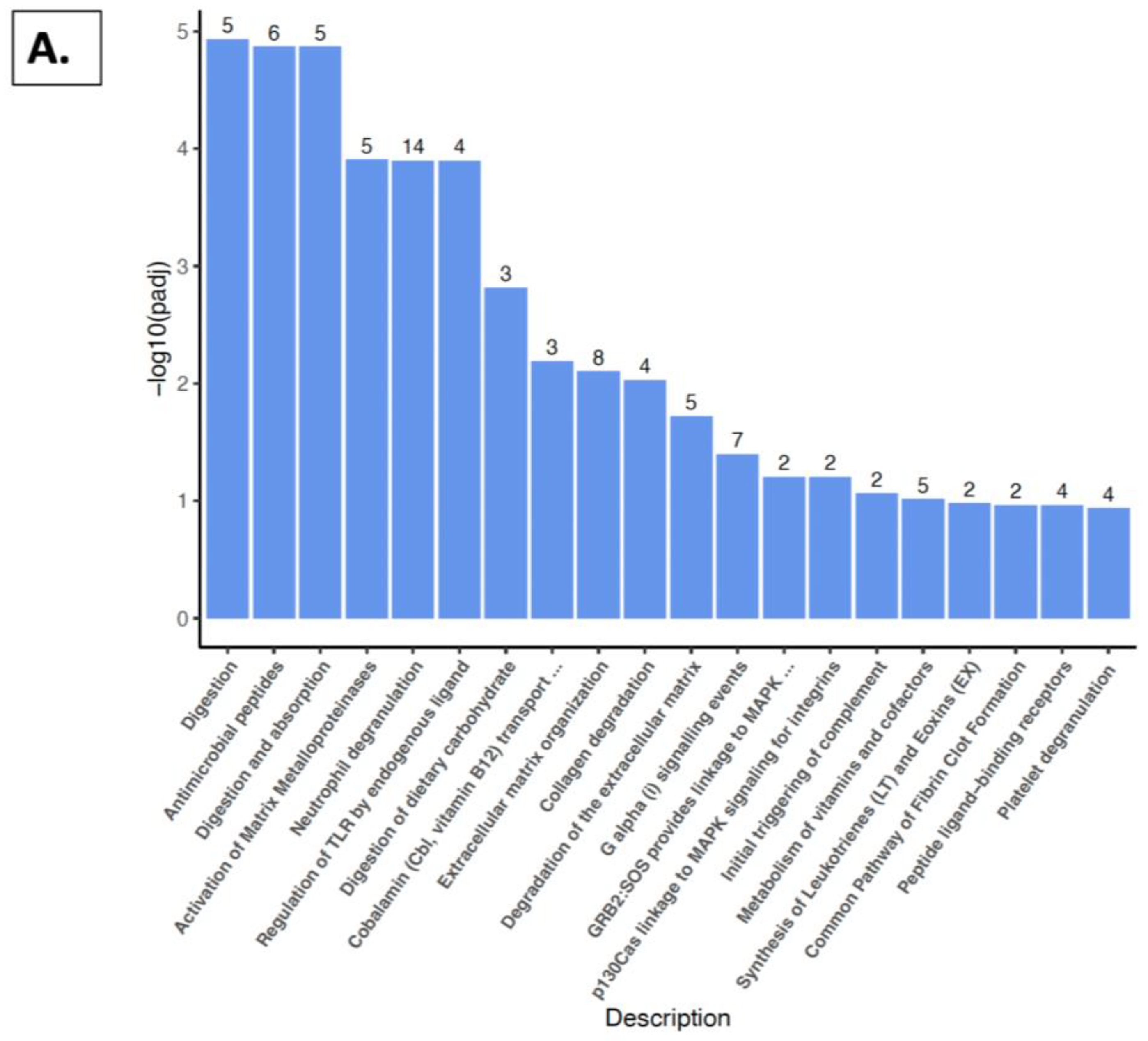 Nutrients 16 02309 g009a