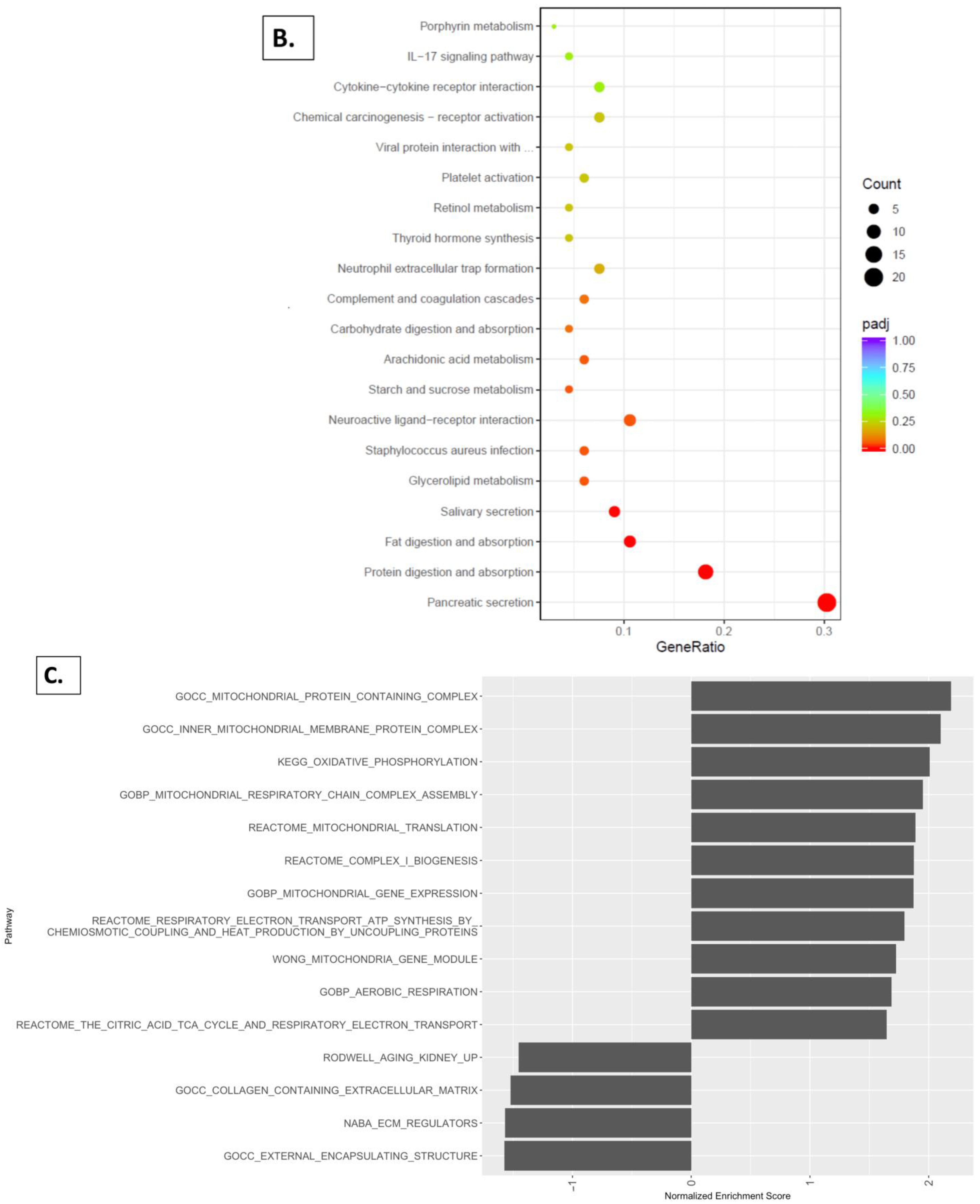 Nutrients 16 02309 g009b