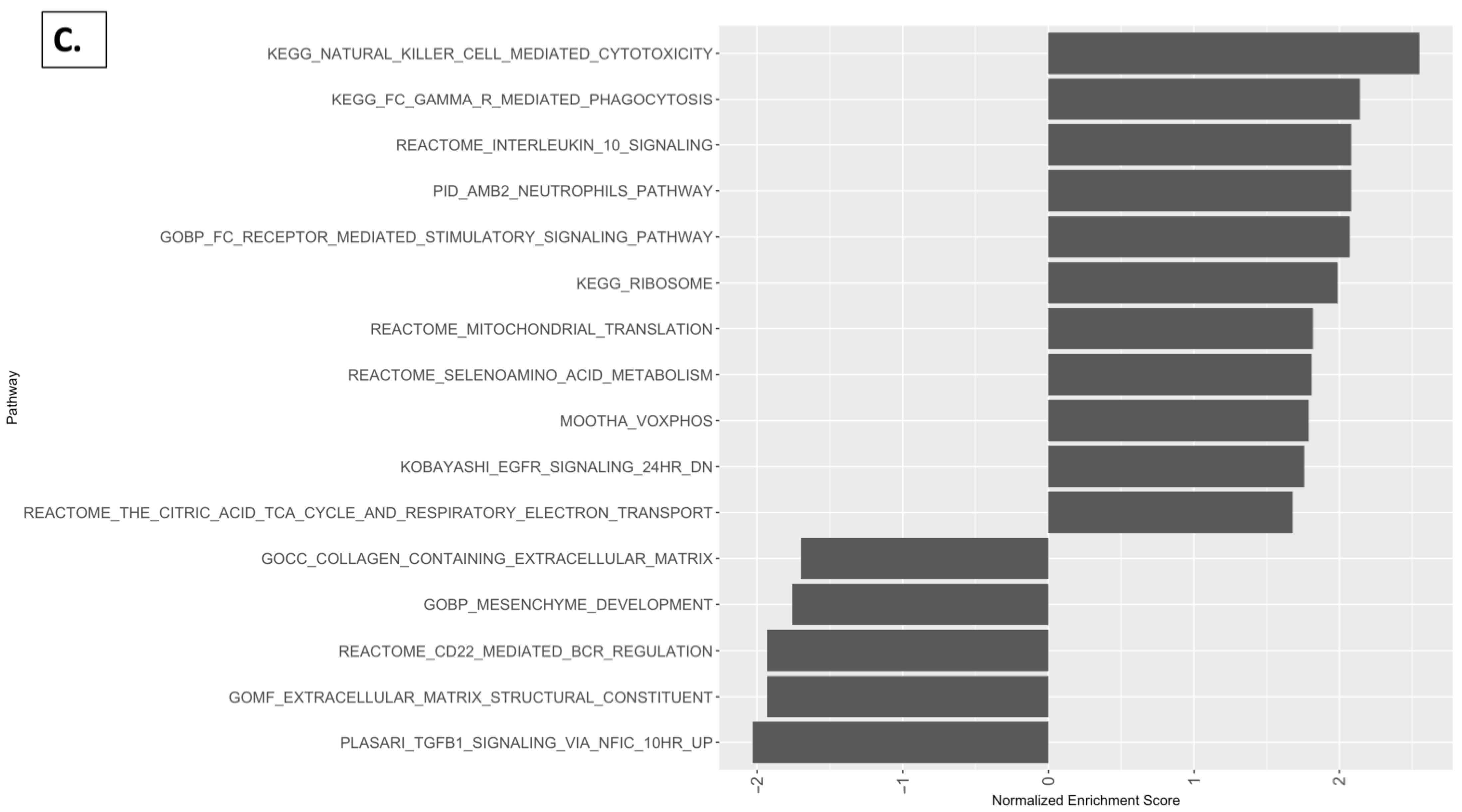 Nutrients 16 02309 g010b