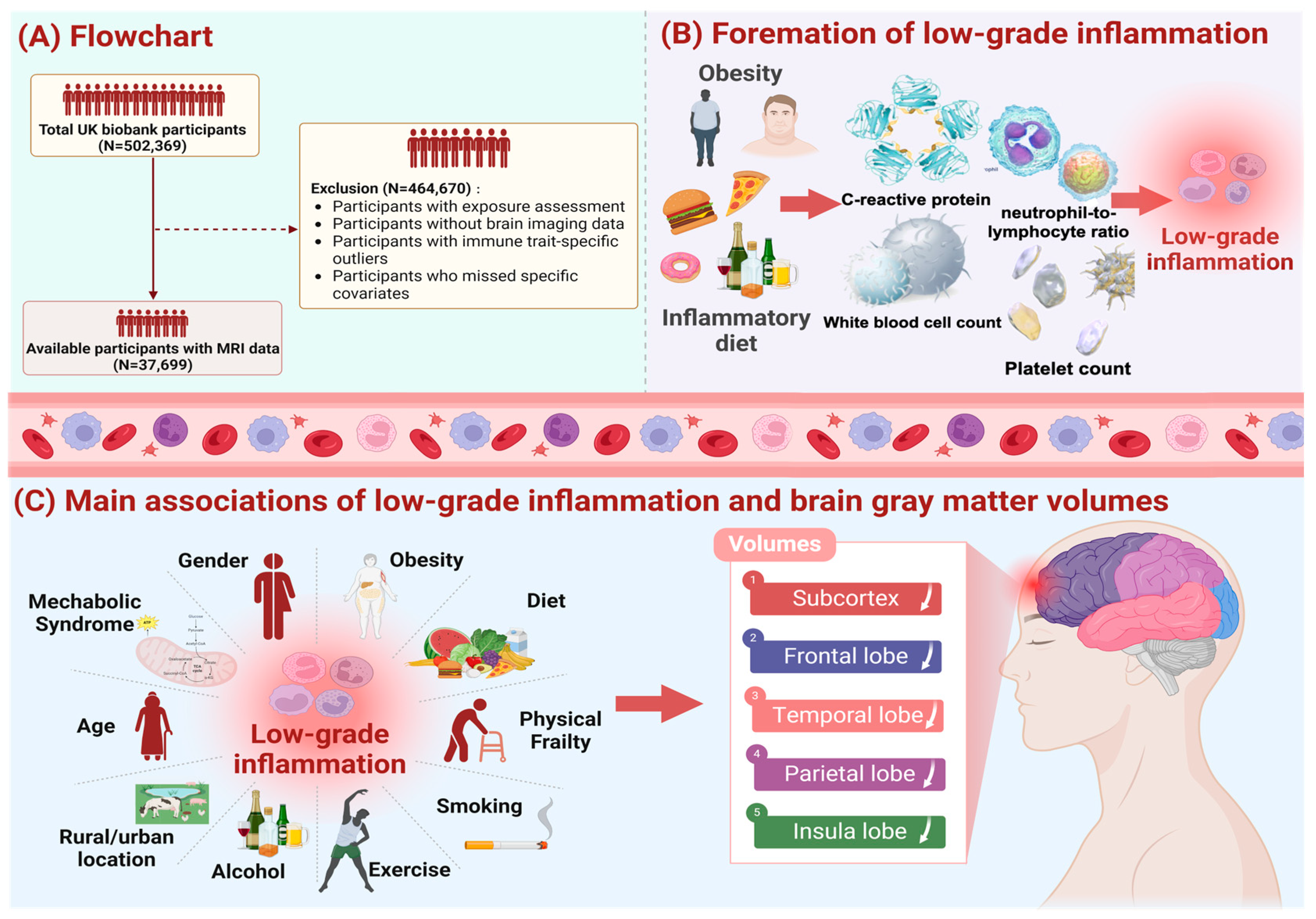 Nutrients 16 02313 g001