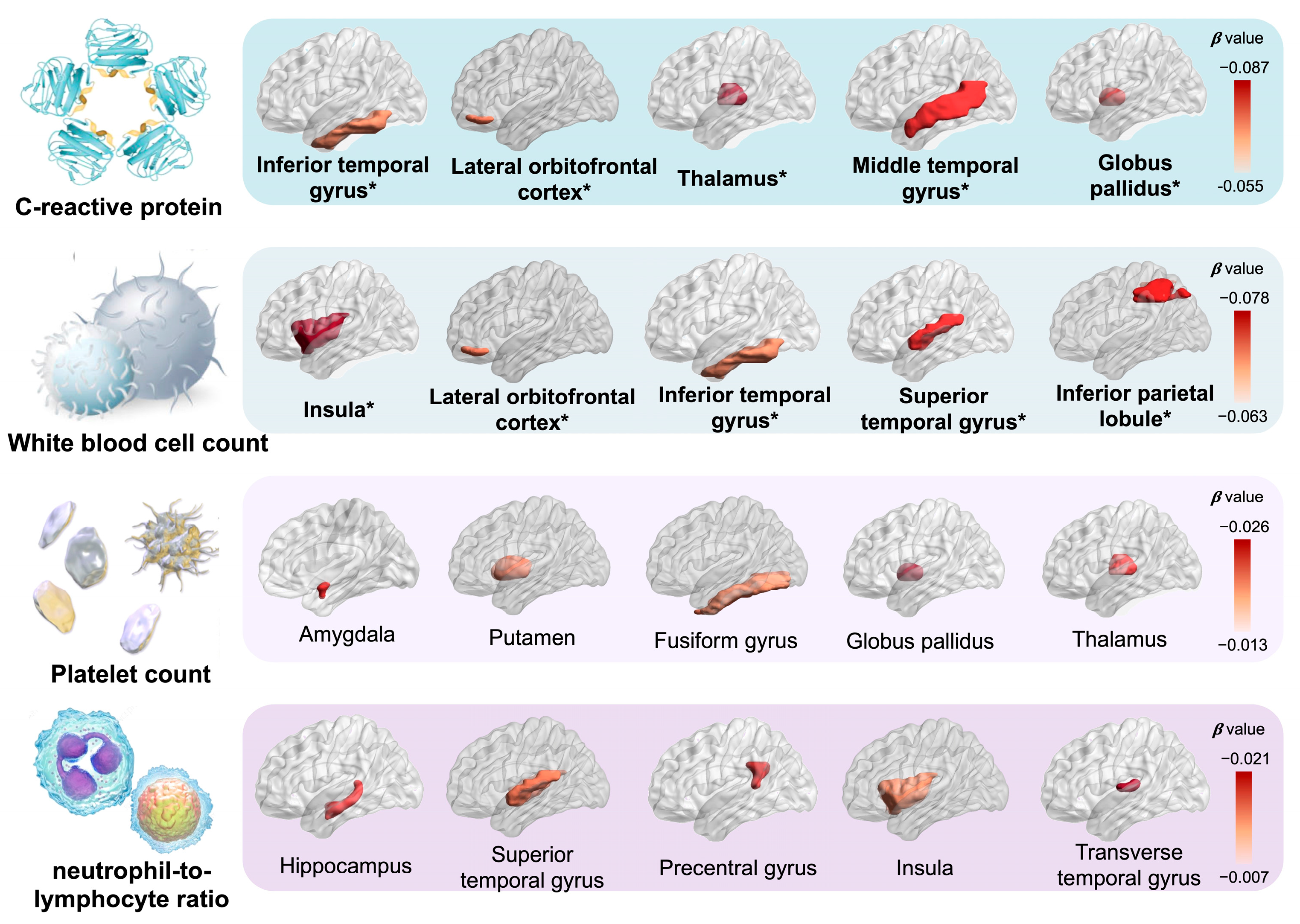 Nutrients 16 02313 g003