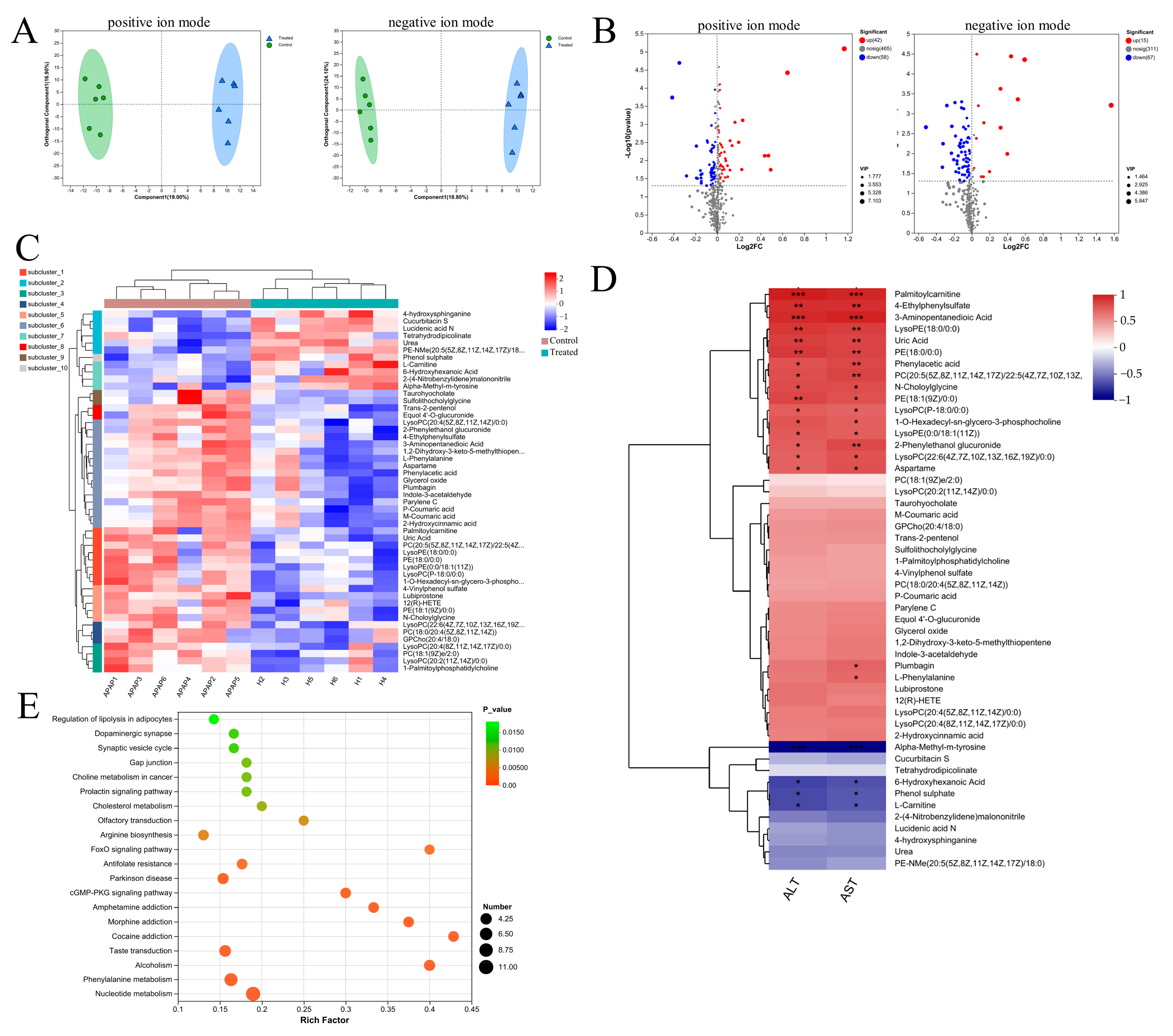 Nutrients 16 02314 g004