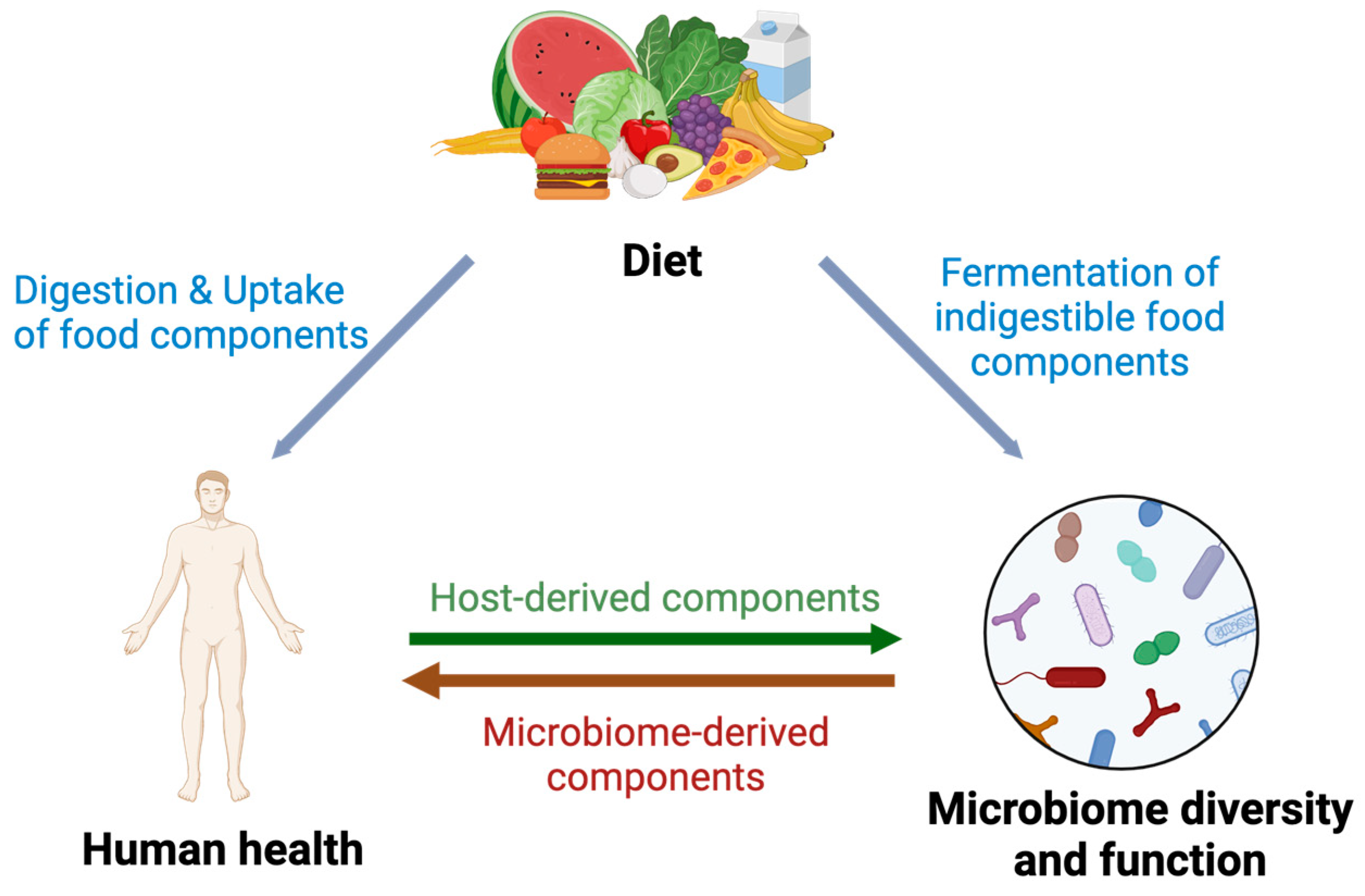Nutrients 16 02322 g001