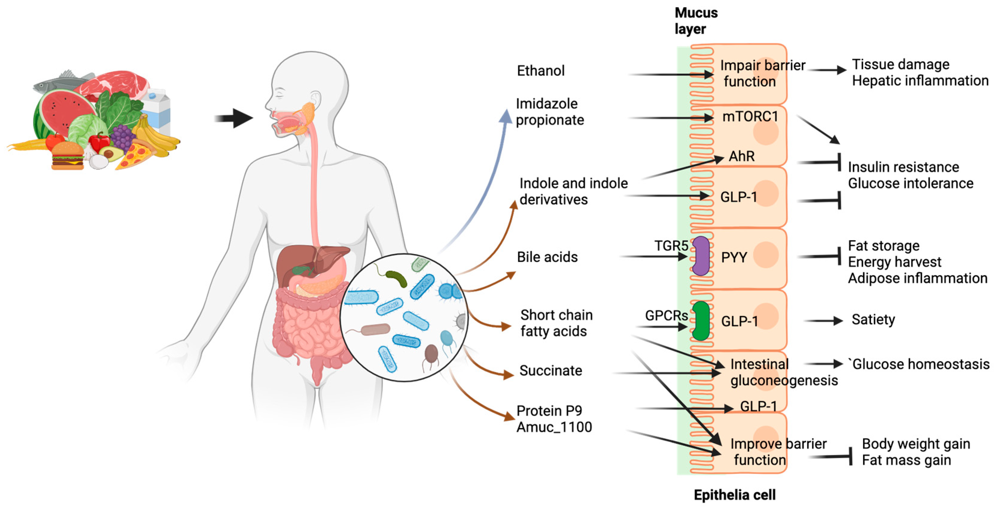 Nutrients 16 02322 g004