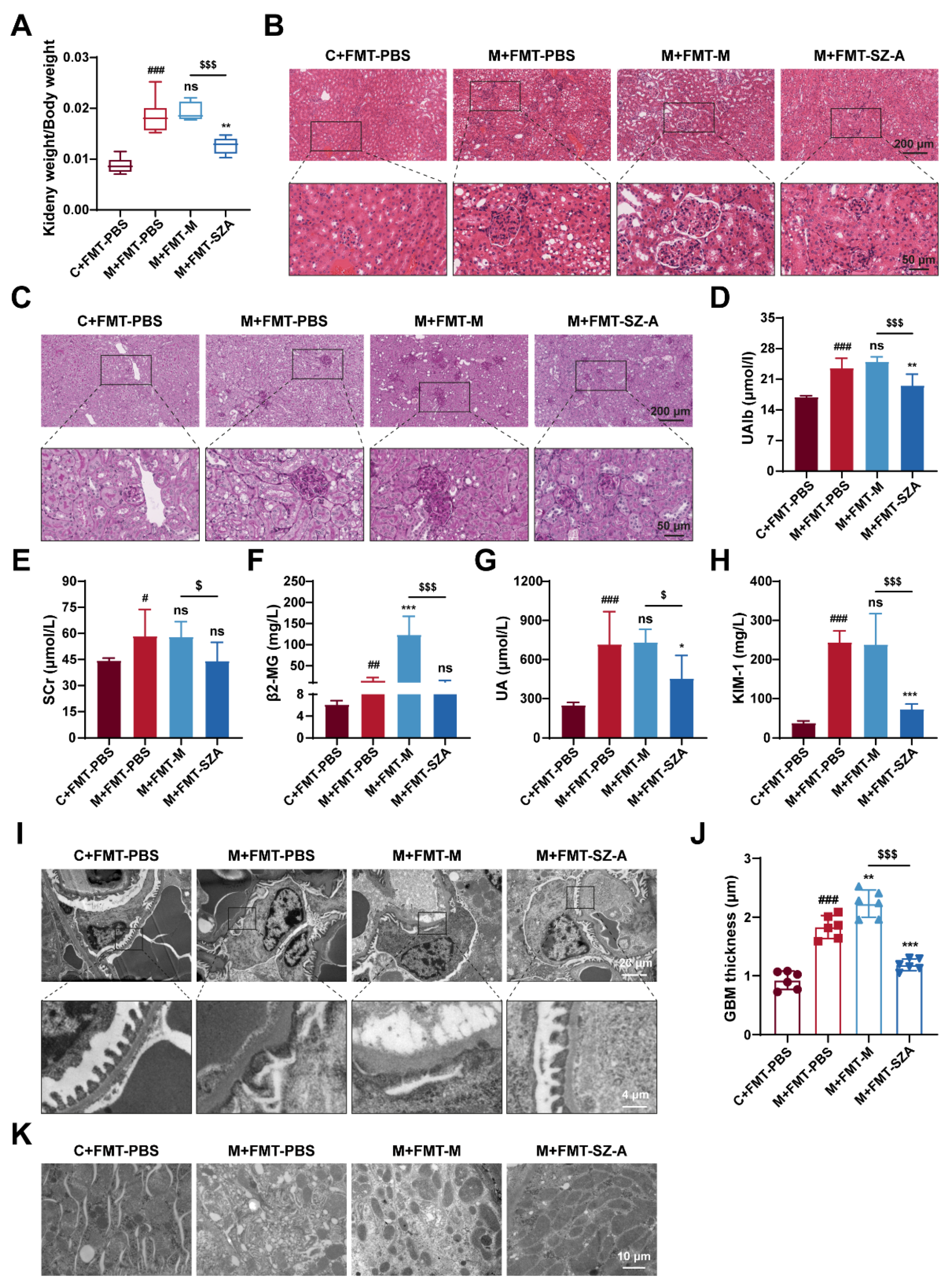 Nutrients 16 02346 g007