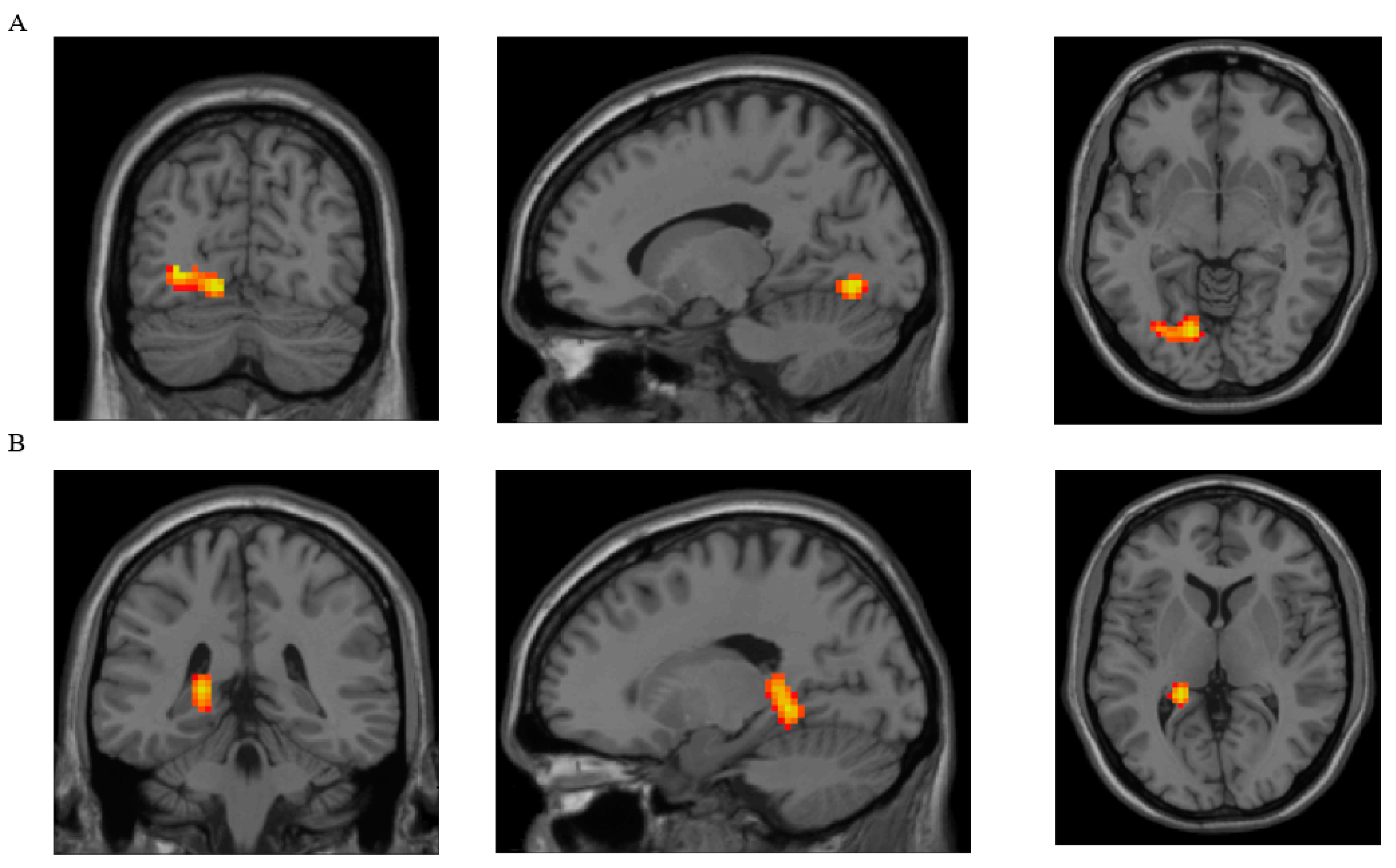 Nutrients 16 02349 g001