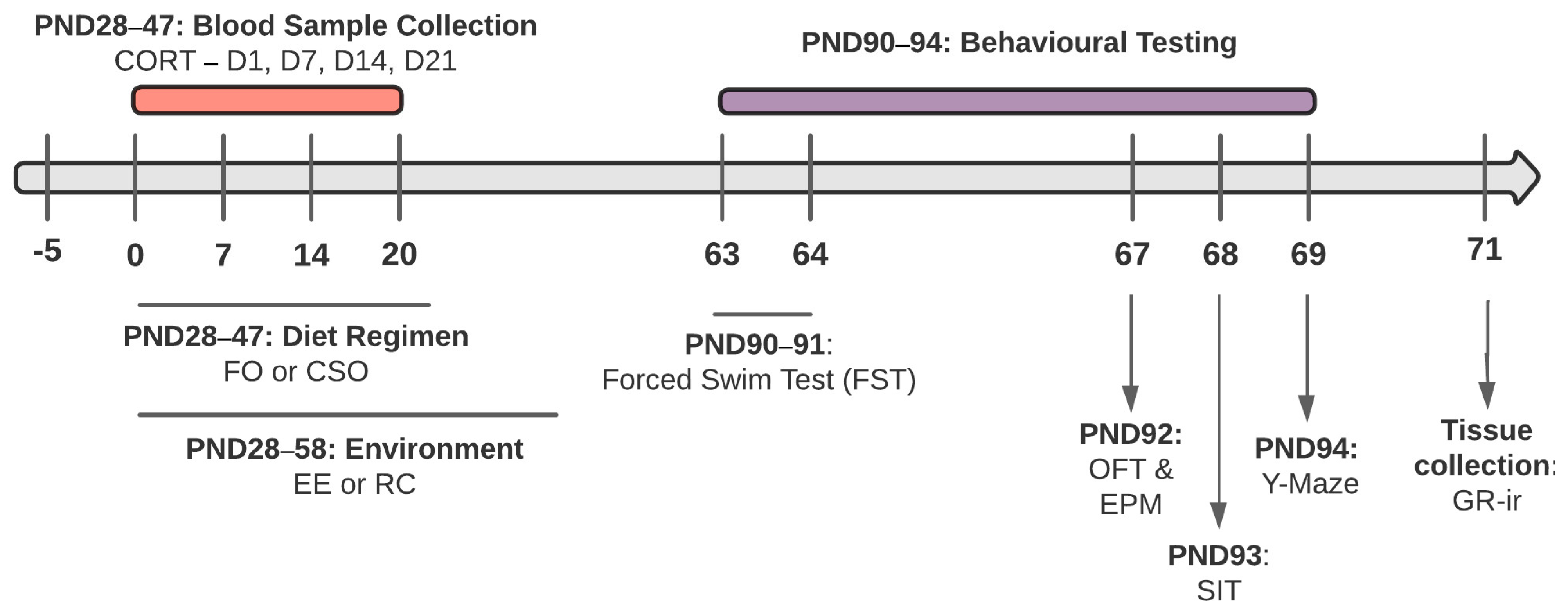 Nutrients 16 02350 g001