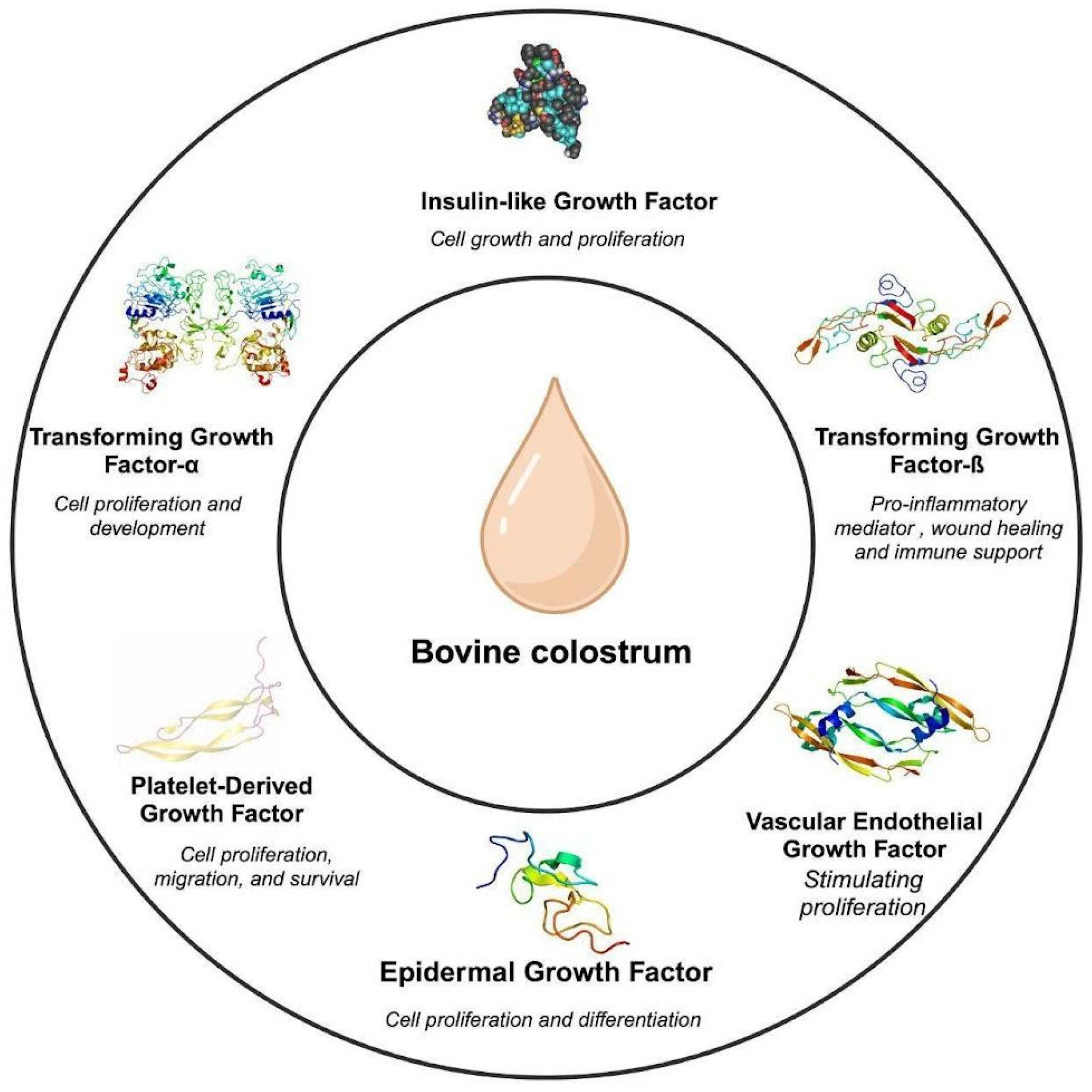 Nutrients 16 02359 g001