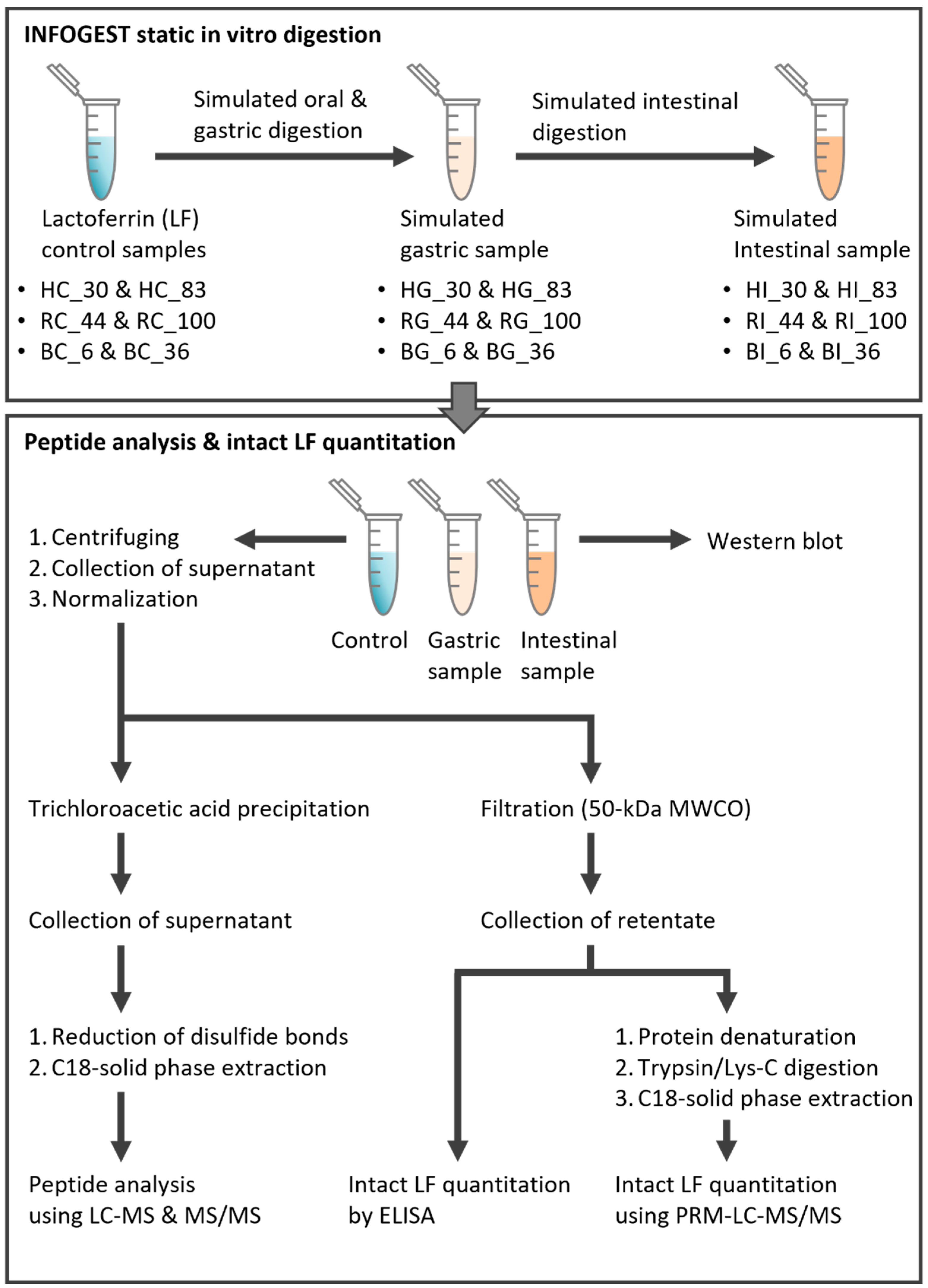 Nutrients 16 02360 g001