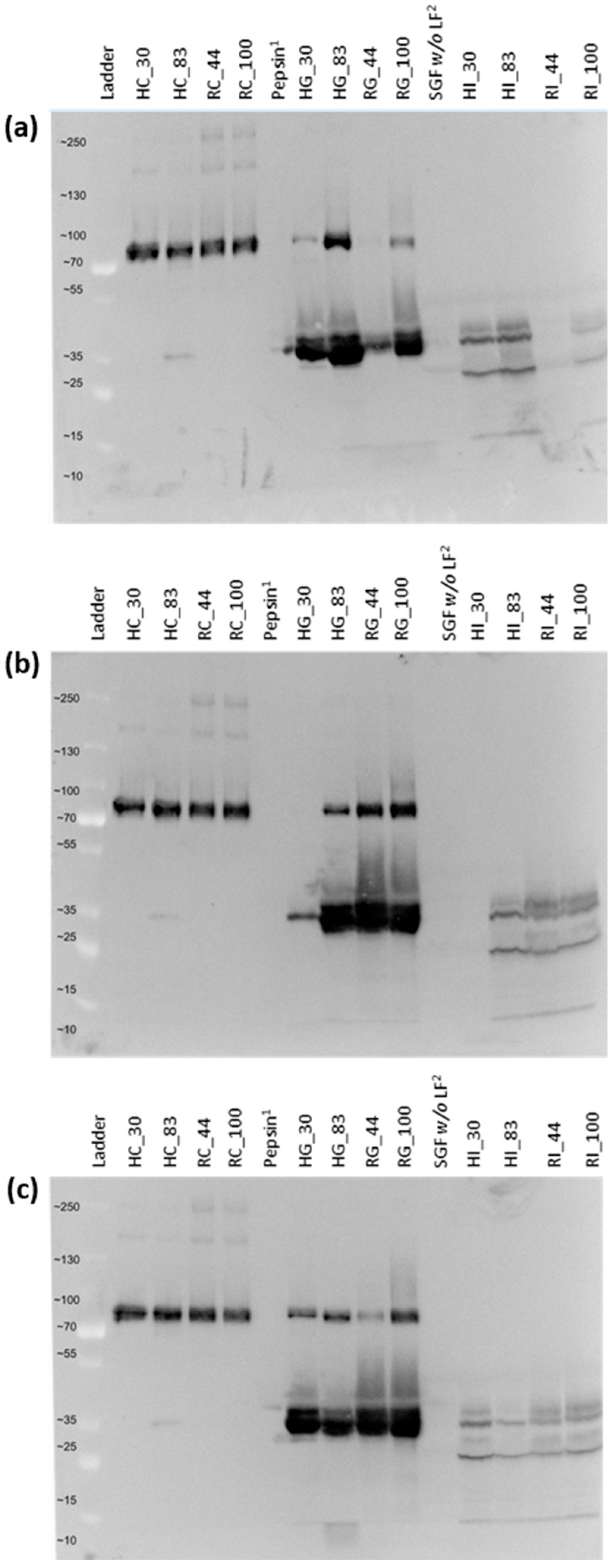 Nutrients 16 02360 g003