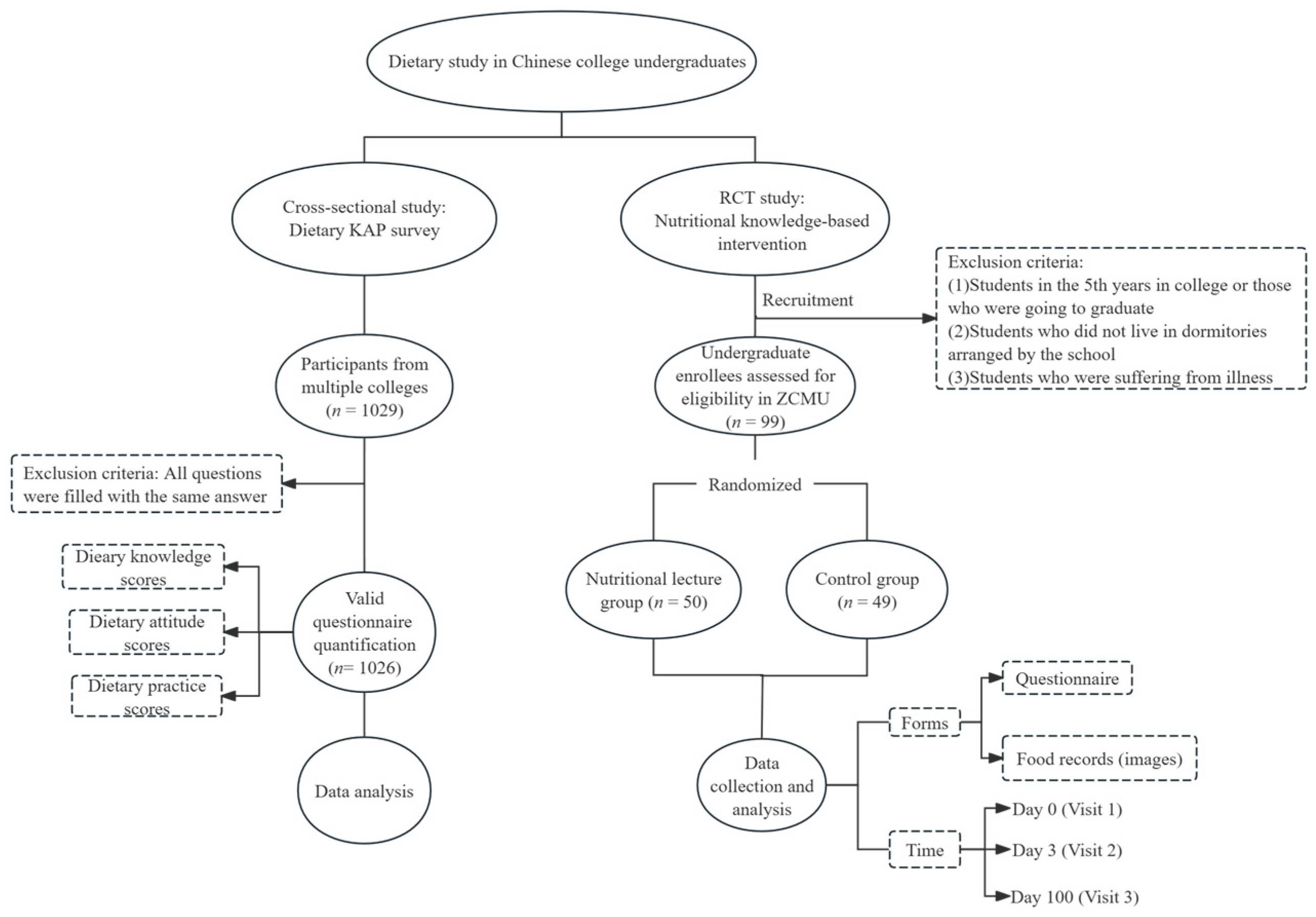 Nutrients 16 02365 g001
