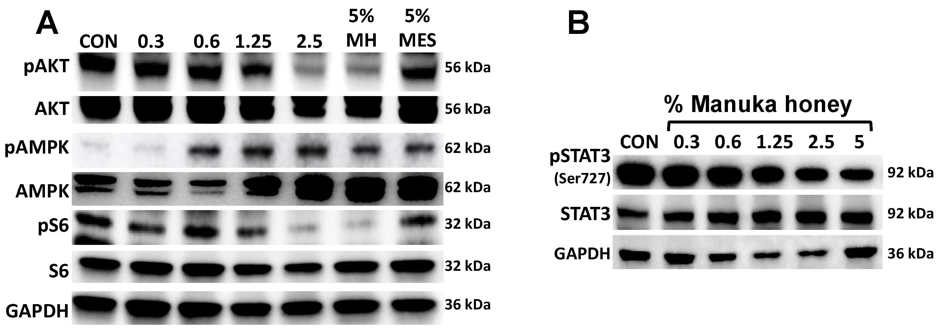 Nutrients 16 02369 g003