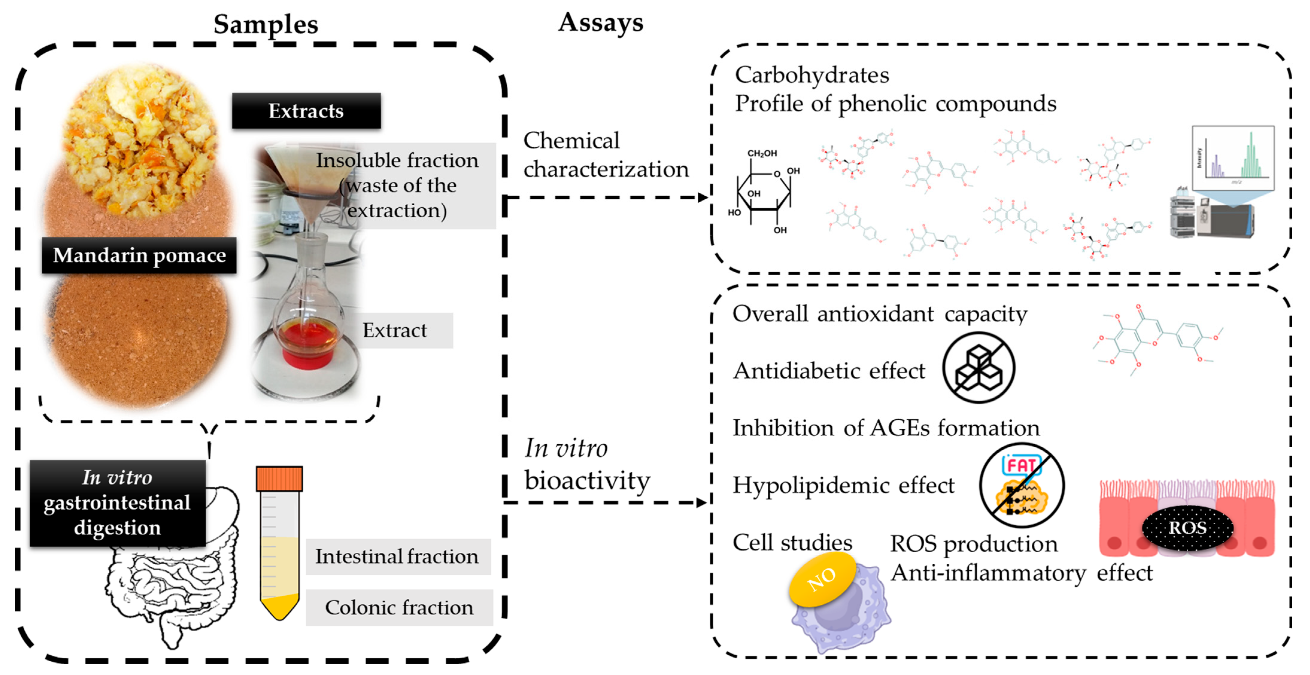Nutrients 16 02370 g001