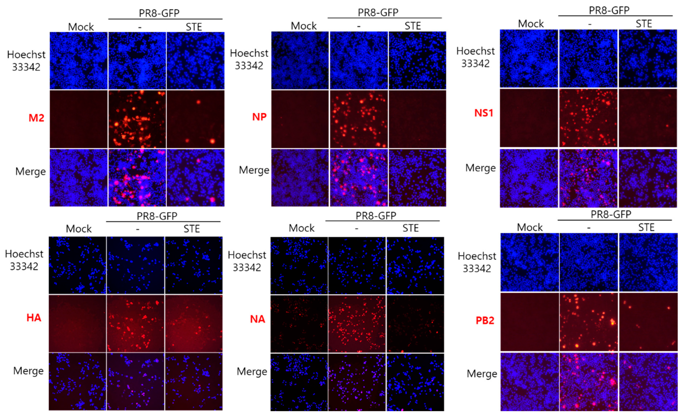 Nutrients 16 02377 g003 Nutrients 16 02377 g003