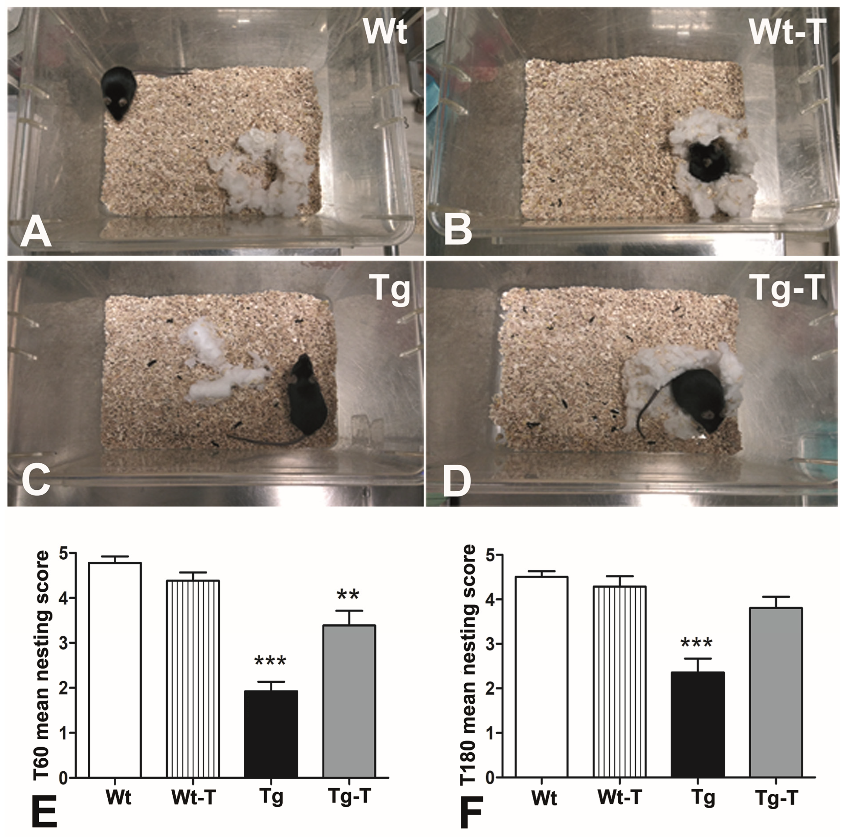 Nutrients 16 02381 g002